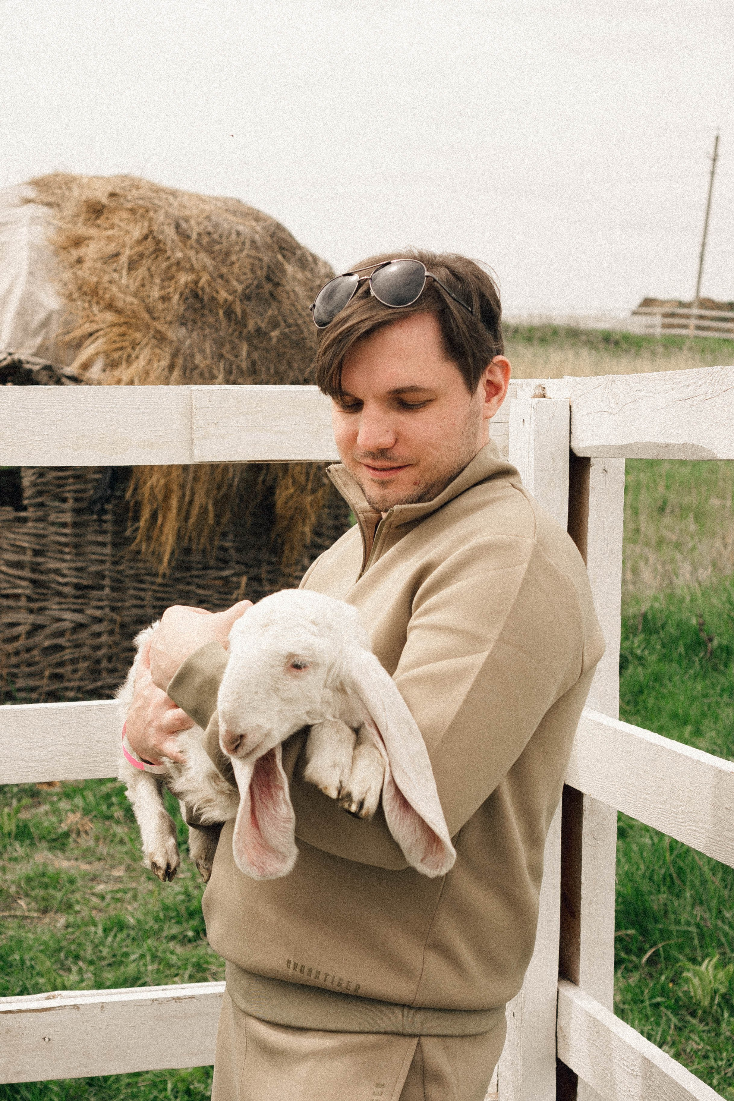Ферма Альпак. Профессиональный фотограф, Санкт-Петербург — Виктория Богомолова