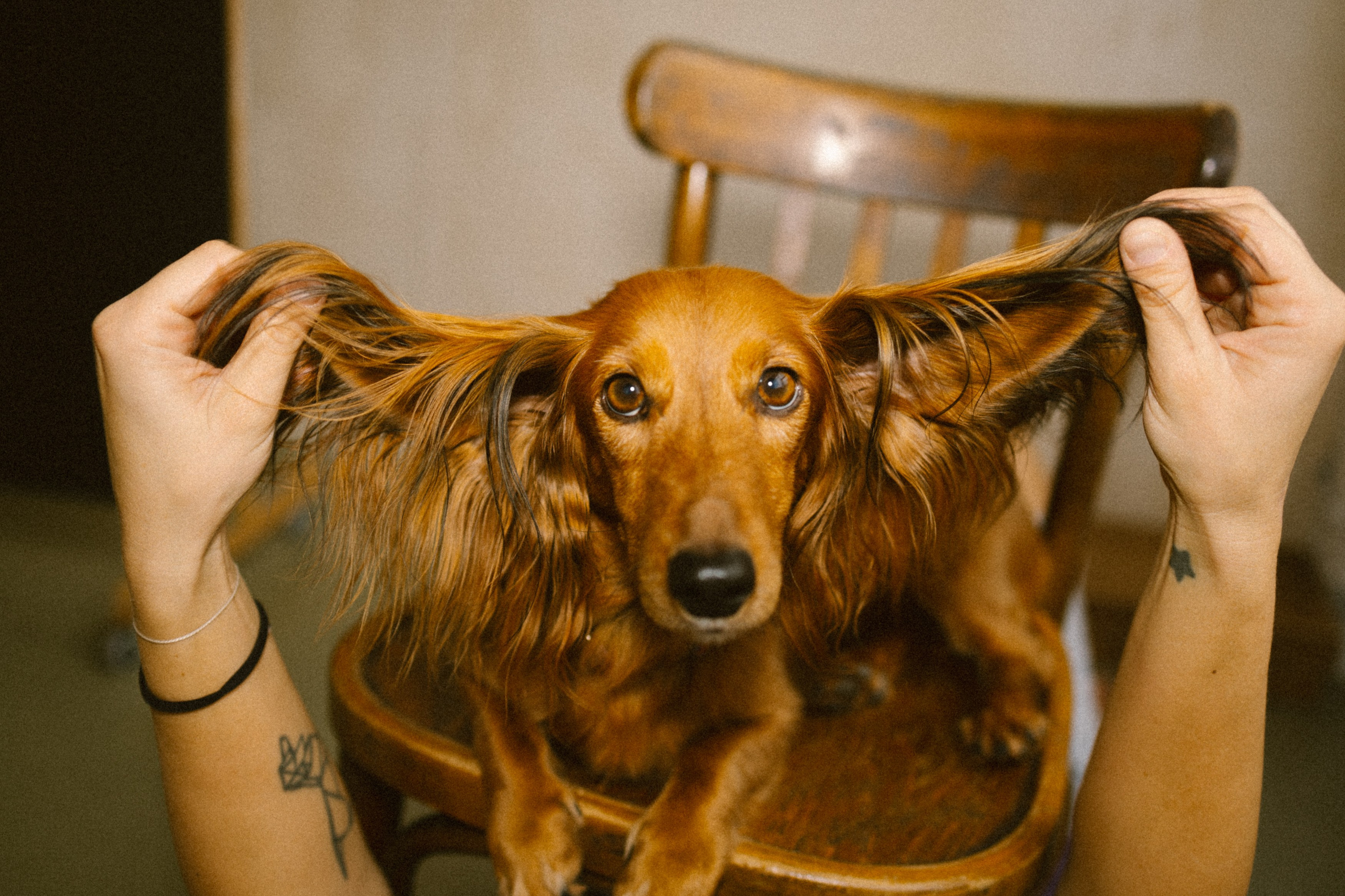 Марина, Липа, Бейлиз. Главная