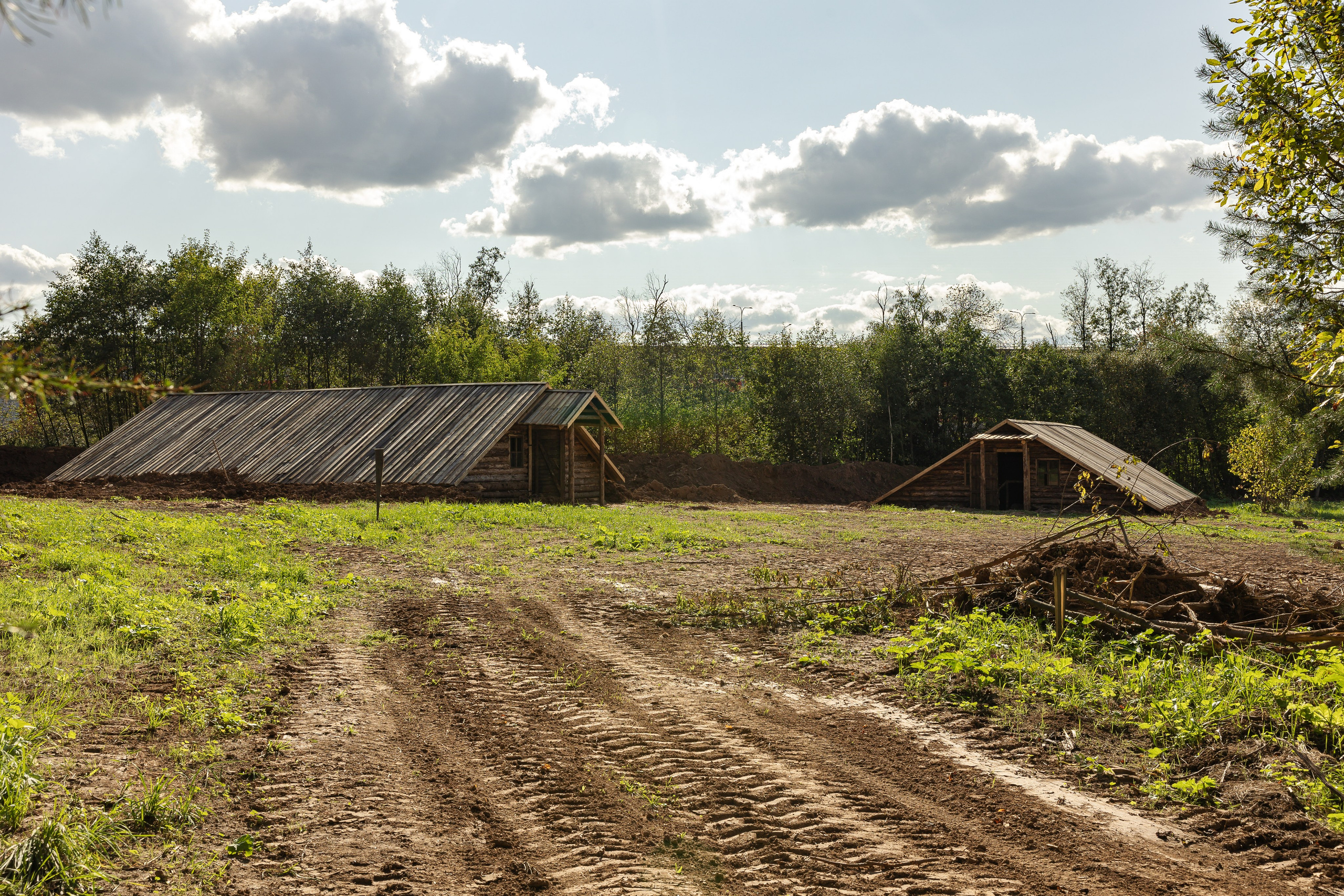 Кинопарк «Москино». Лисенкова Алиса — Фотограф, видеомейкер. Москва
