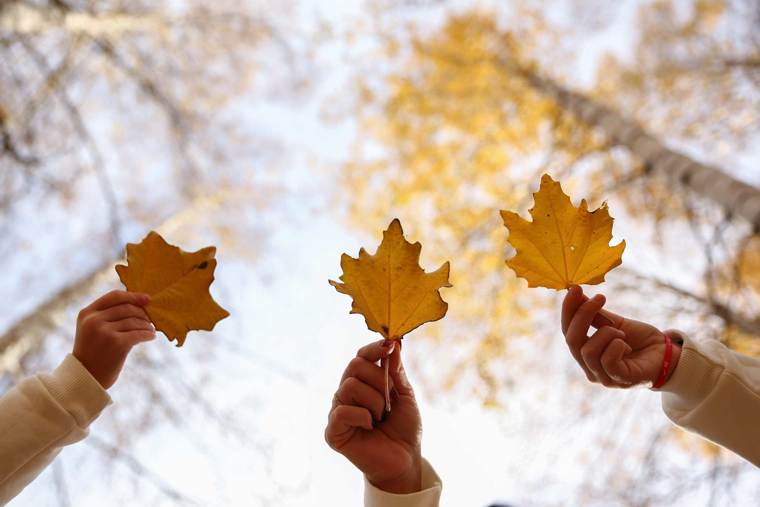 Отзывы о фотографе Марии Донцу. Семейный и свадебный фотограф в Самаре и Кинеле Мария Донцу