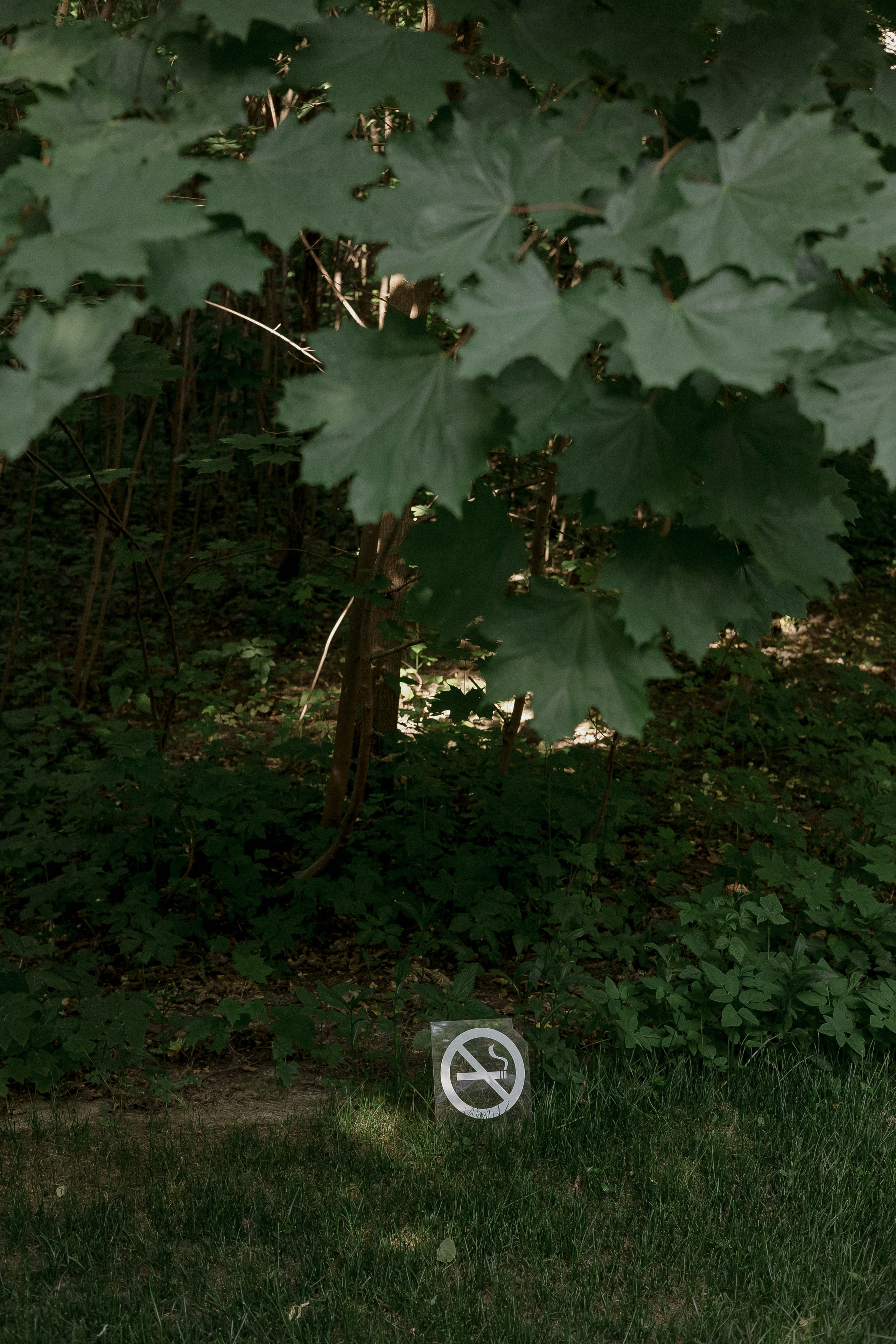 Wedding day Дмитрий и Анастасия. Свадебный фотограф Колесников Антон