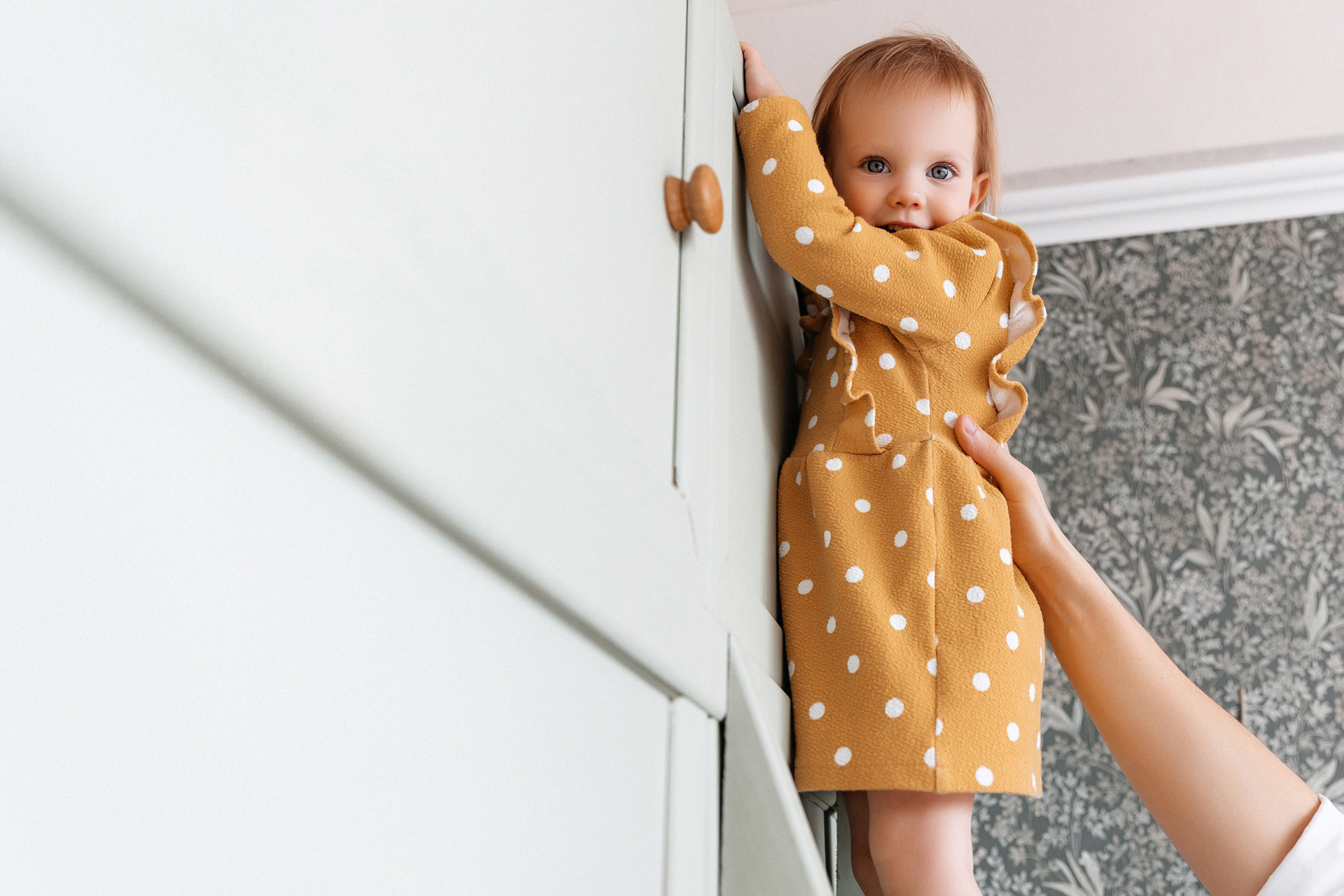 Домашняя история