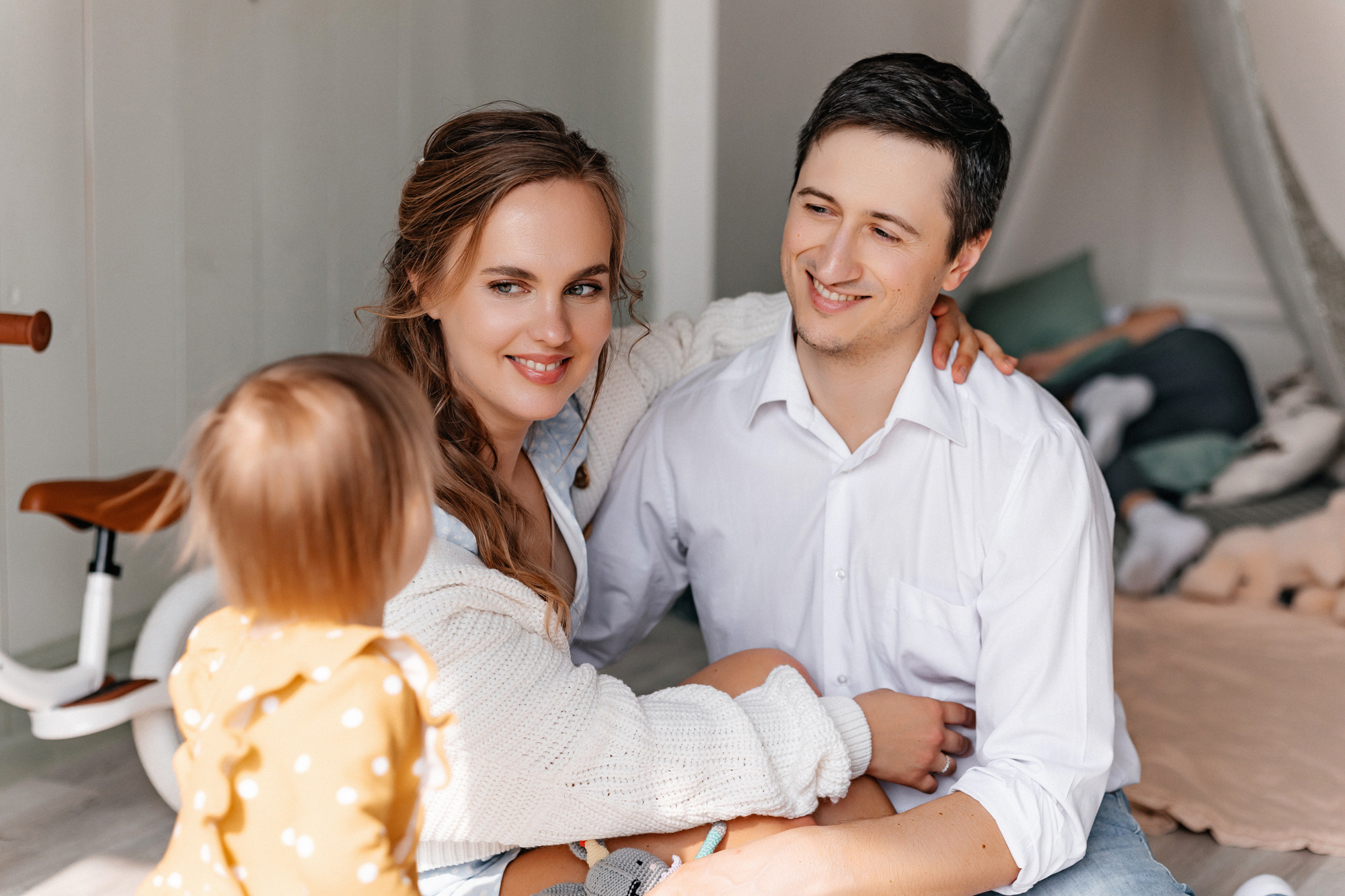 Домашняя история