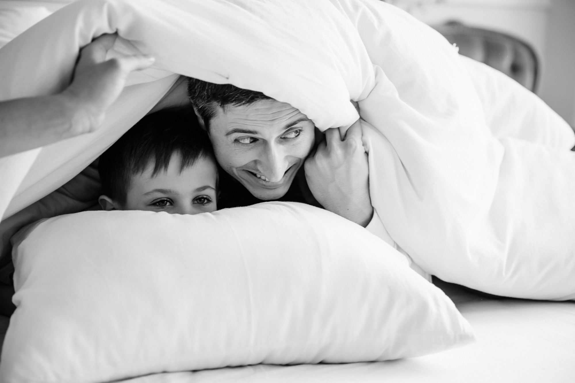 Домашняя история