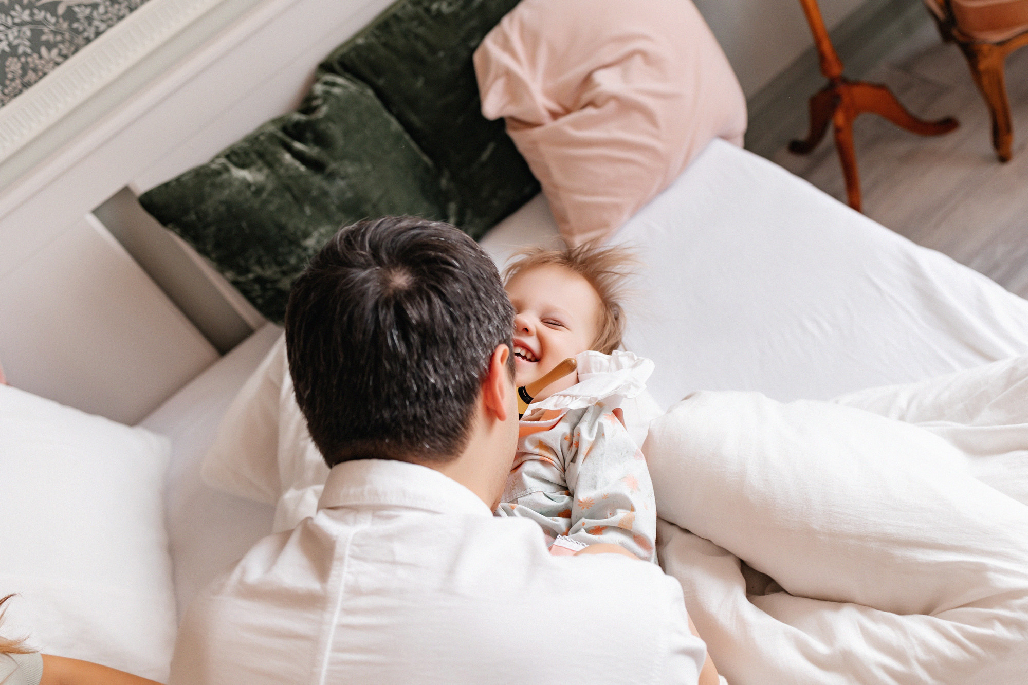 Домашняя история