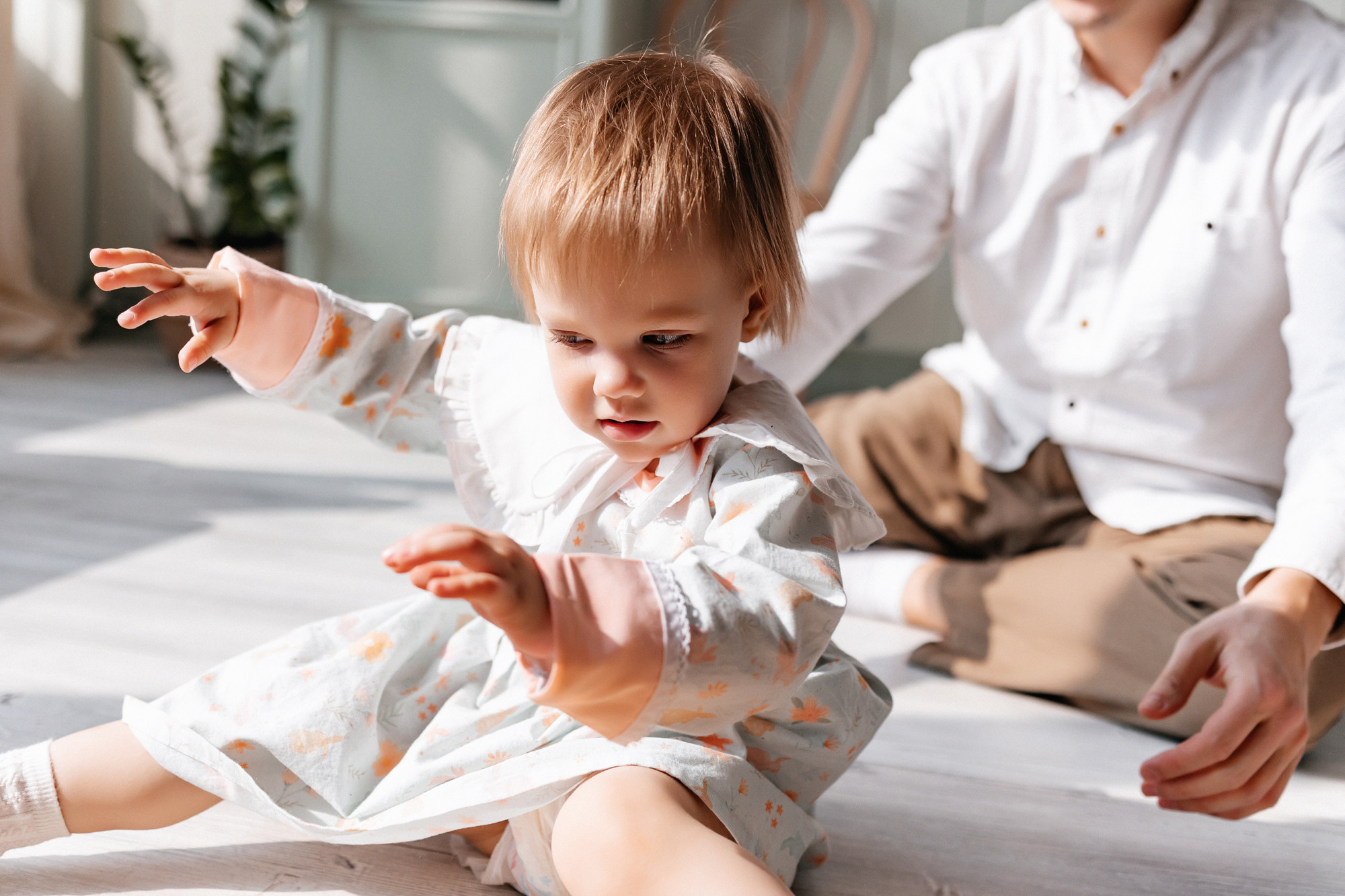 Домашняя история