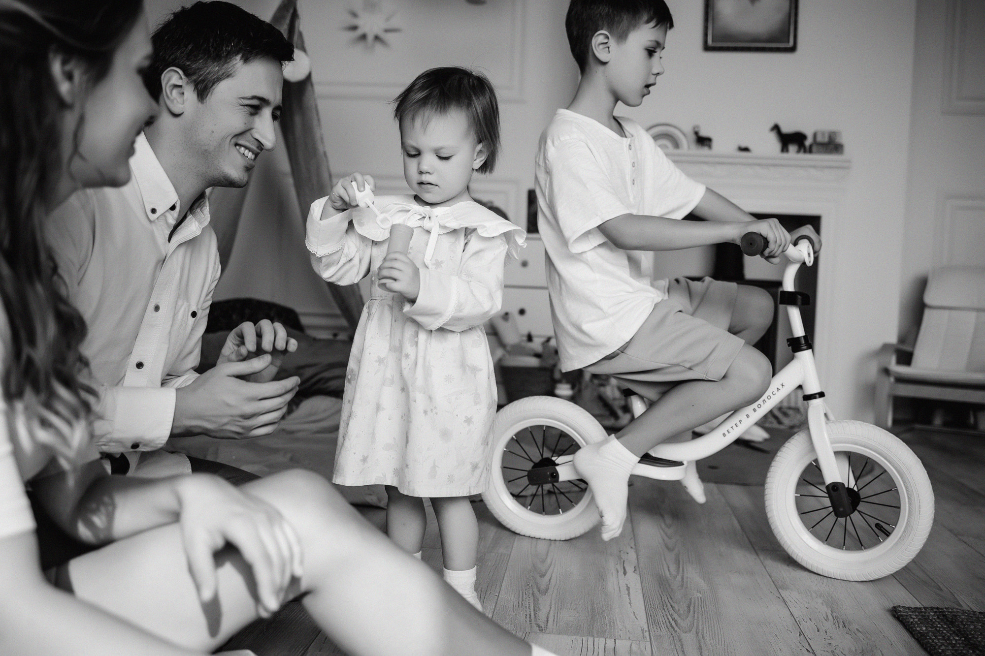 Домашняя история