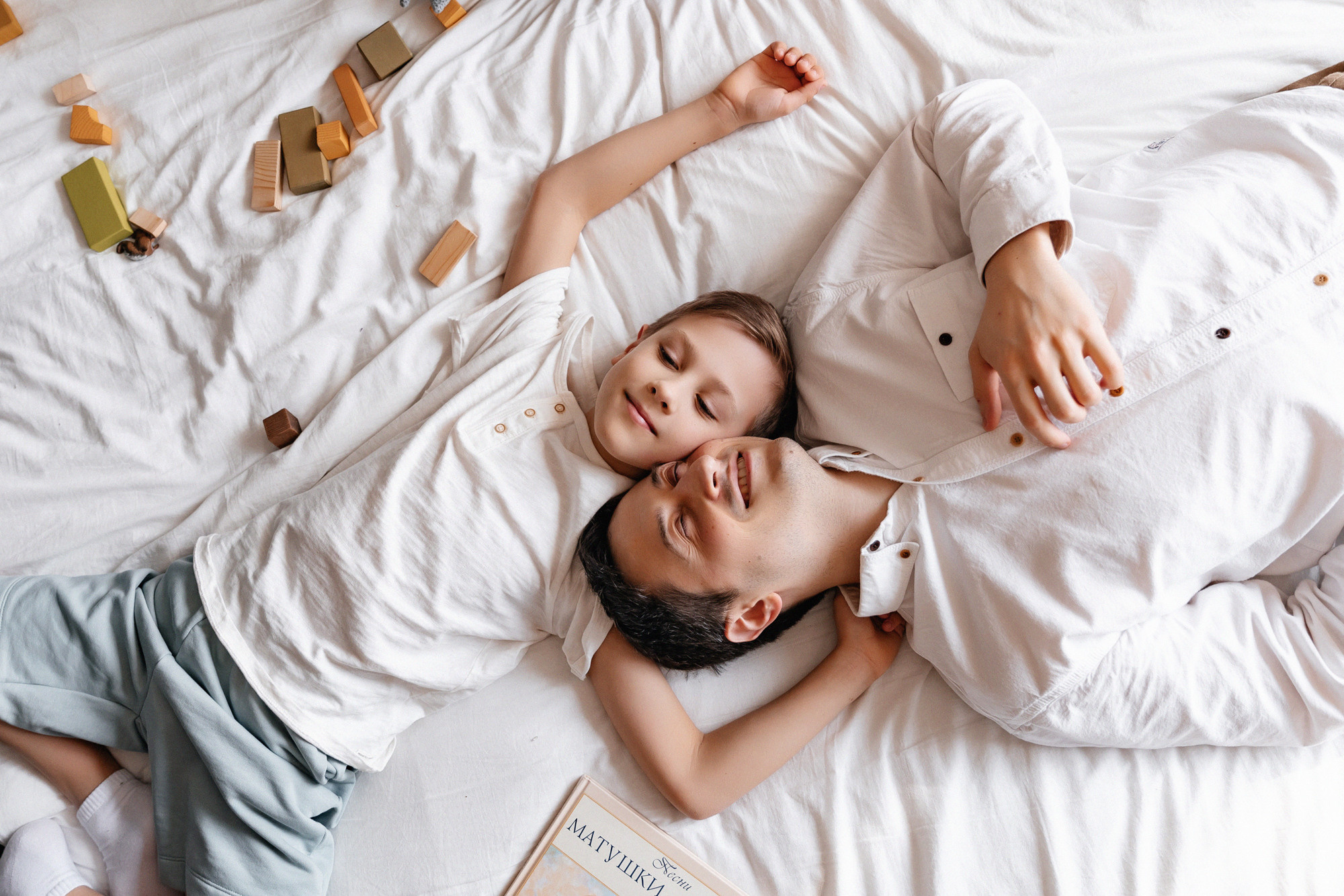 Домашняя история