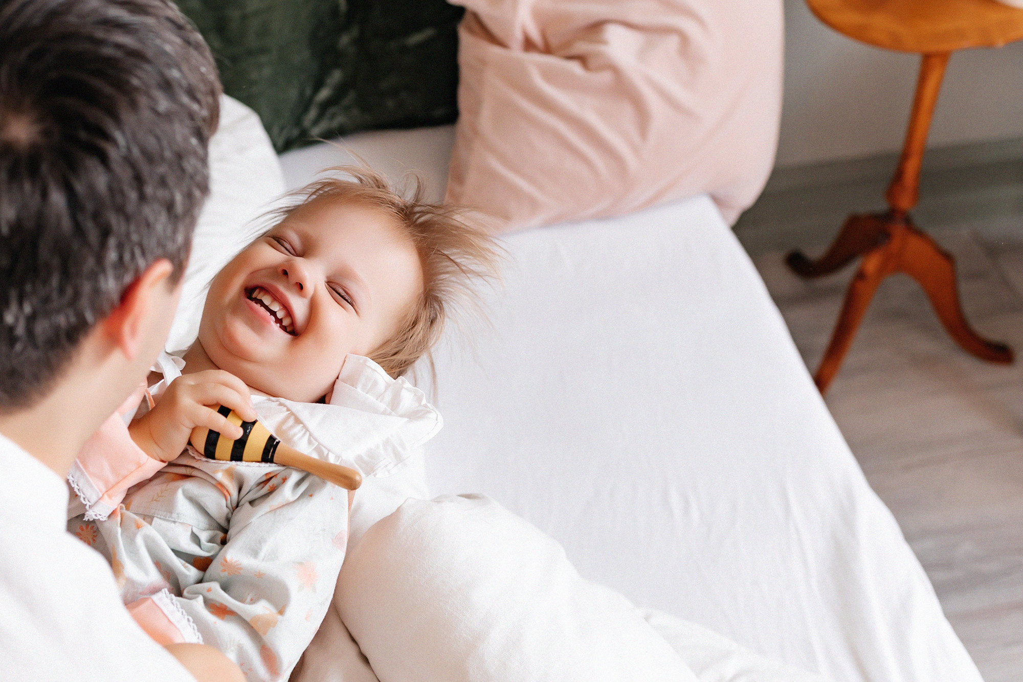 Домашняя история