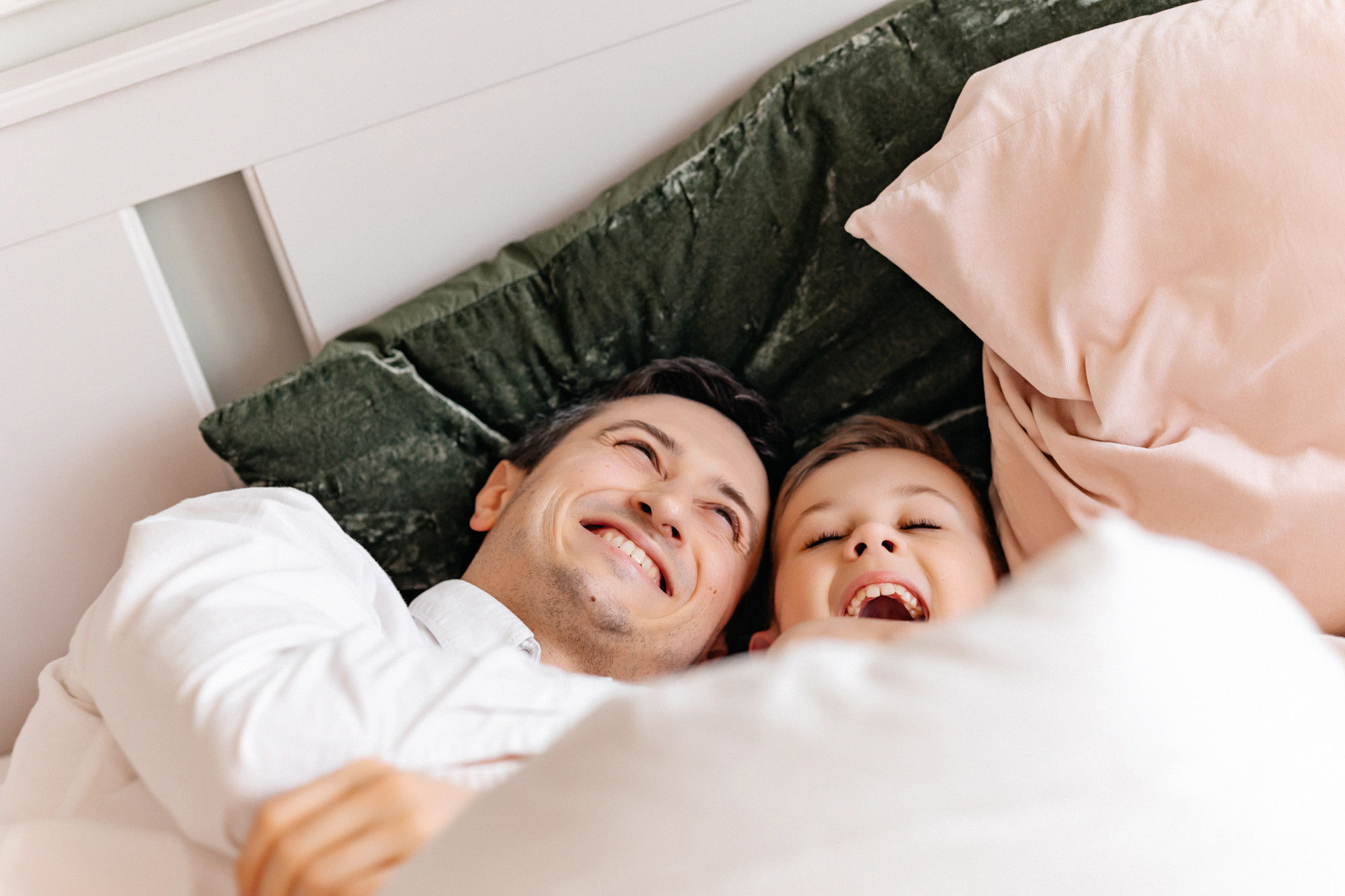 Домашняя история