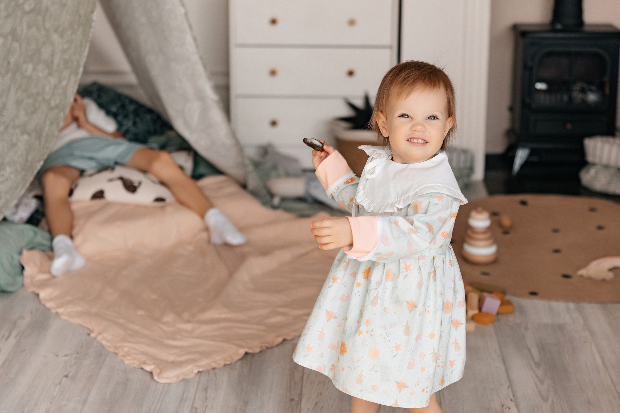 Домашняя история