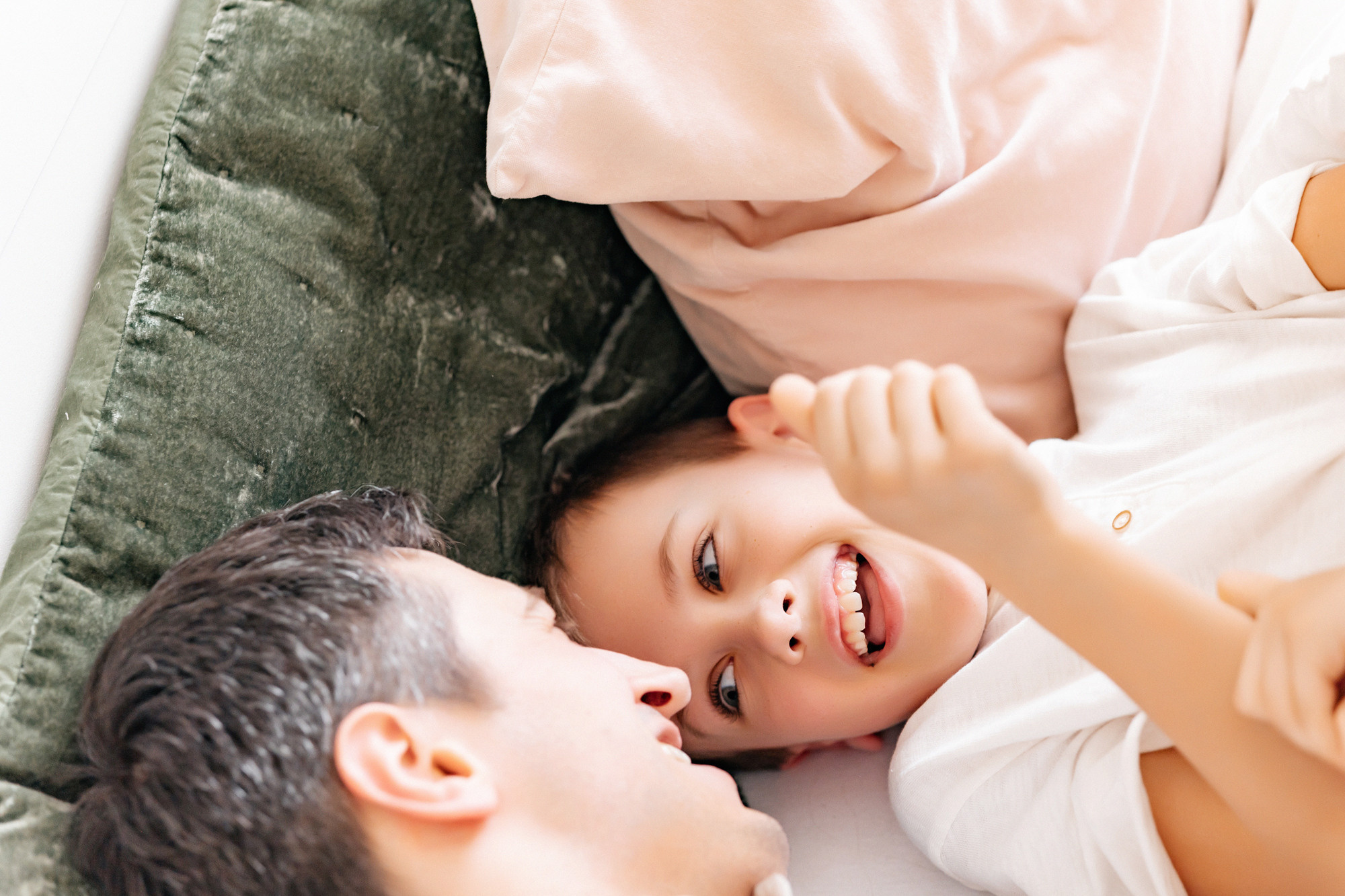 Домашняя история