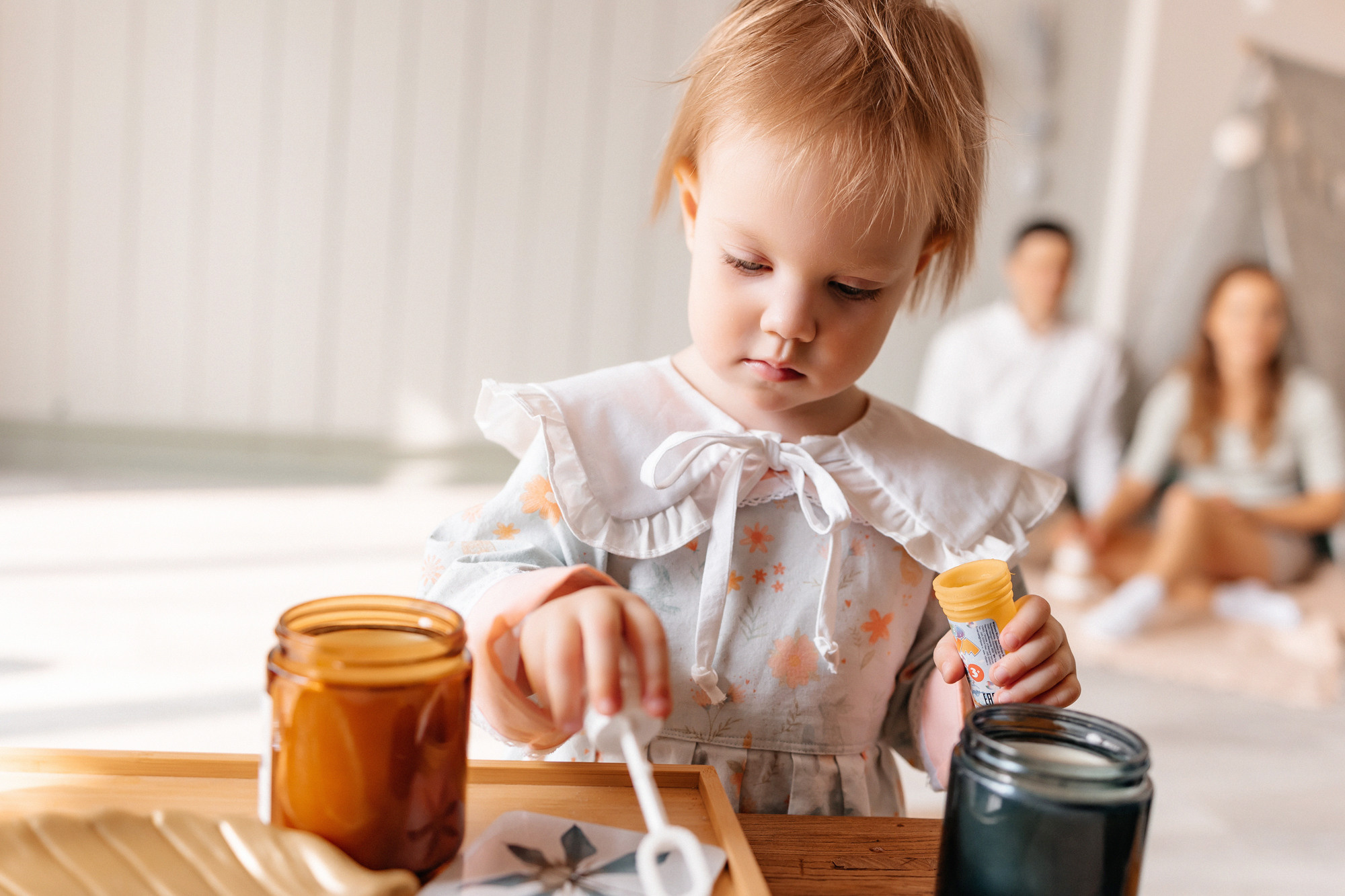 Домашняя история