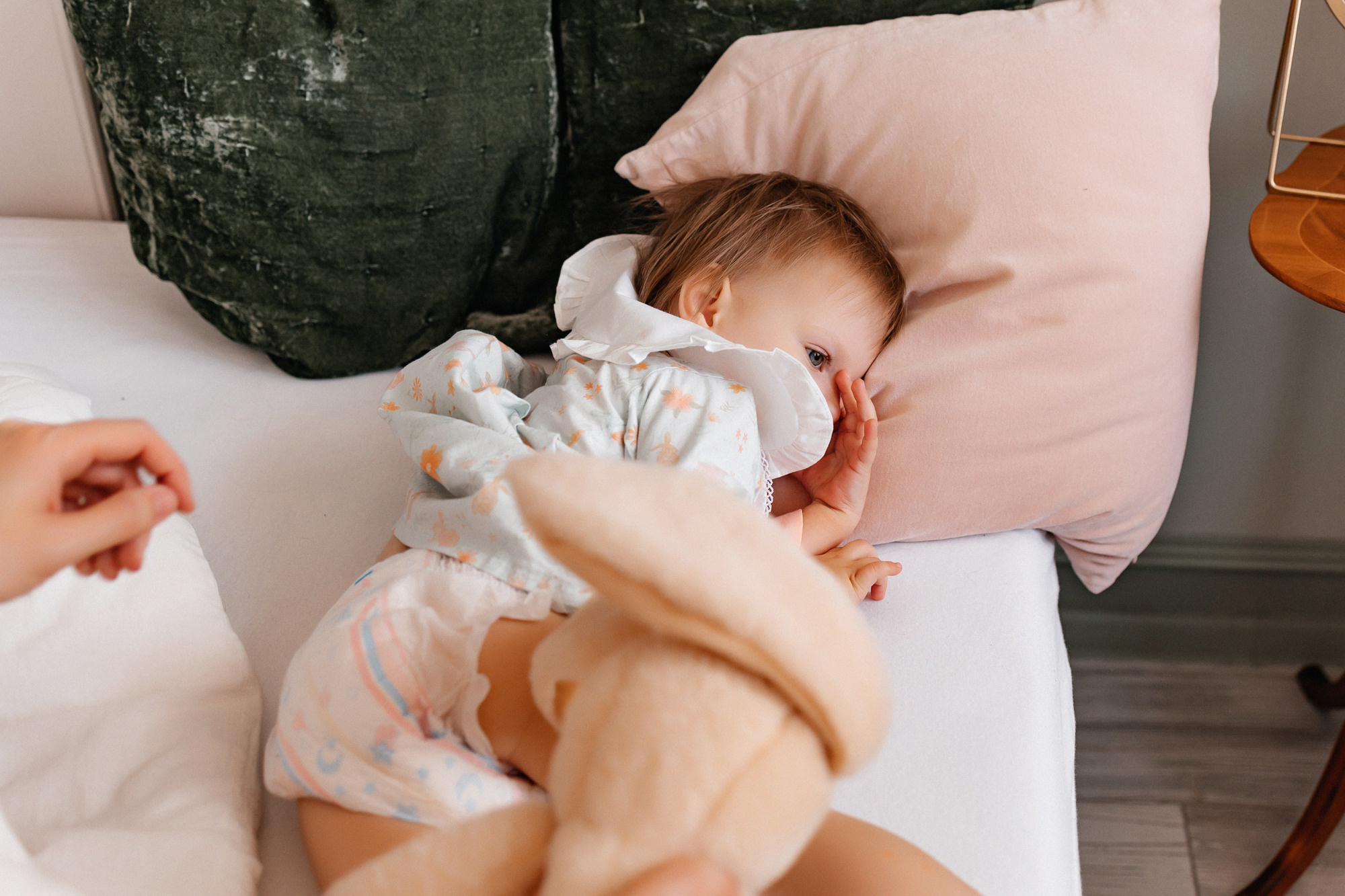 Домашняя история