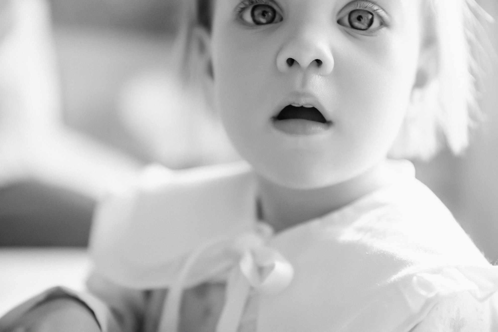 Домашняя история