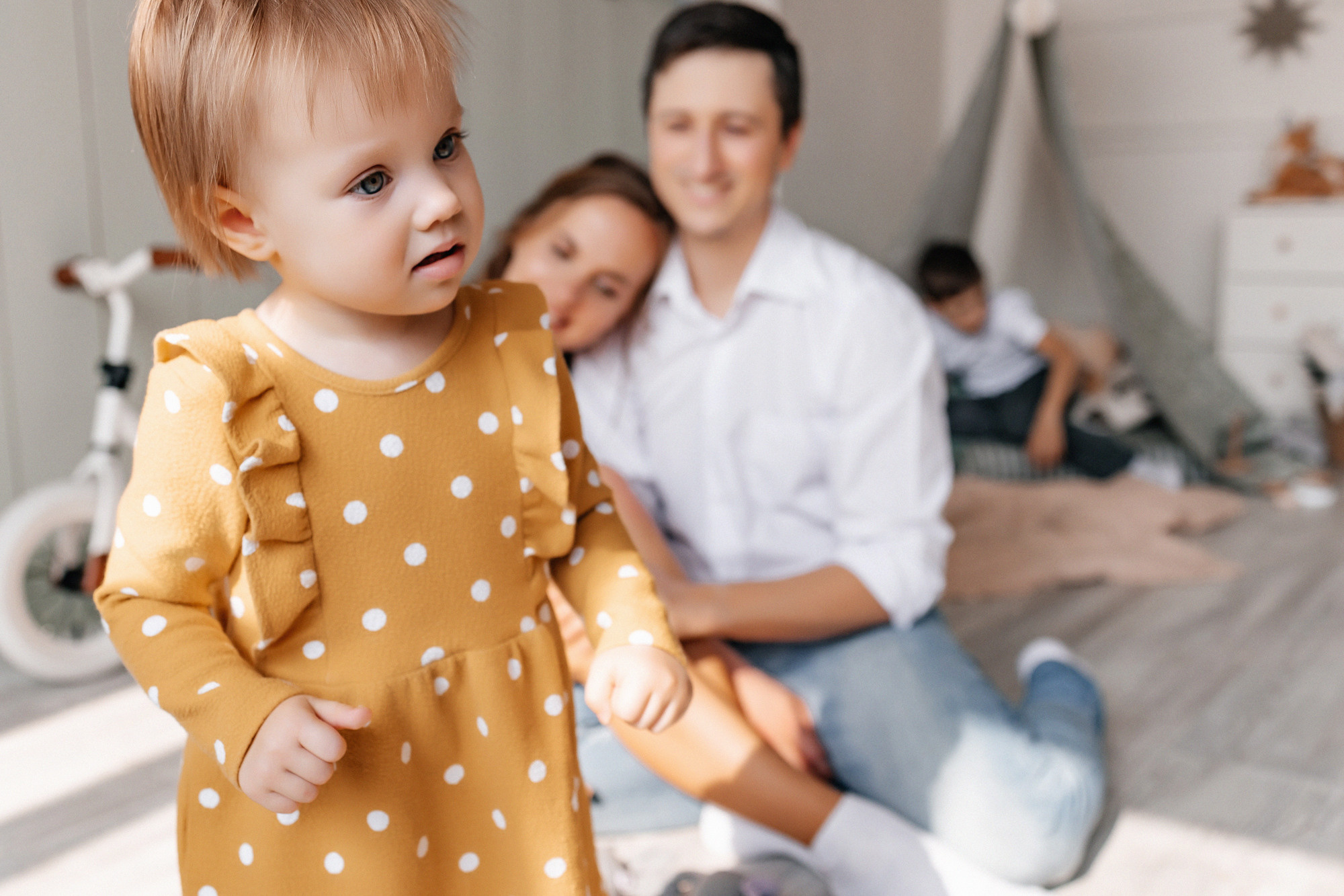 Домашняя история