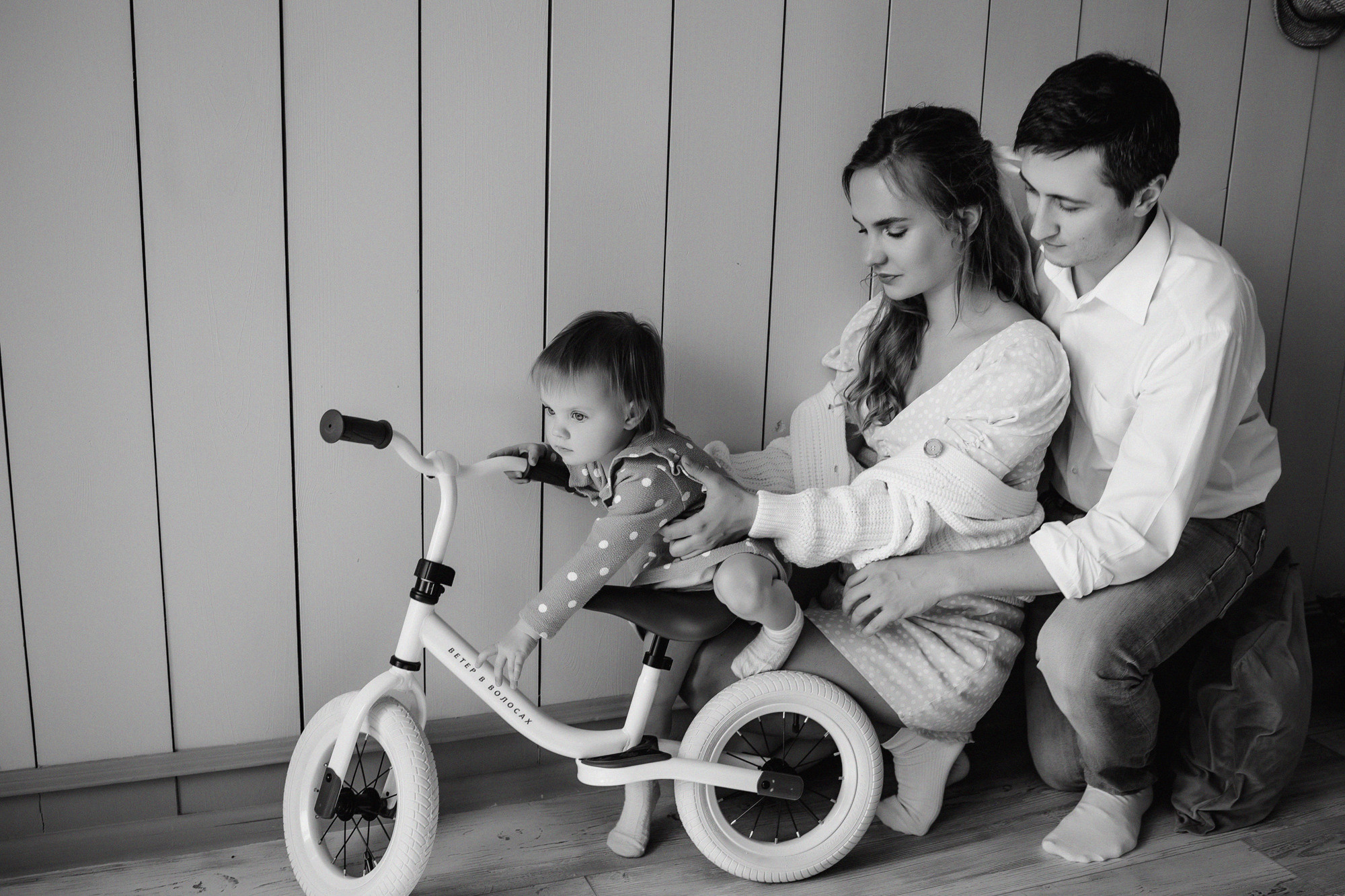 Домашняя история