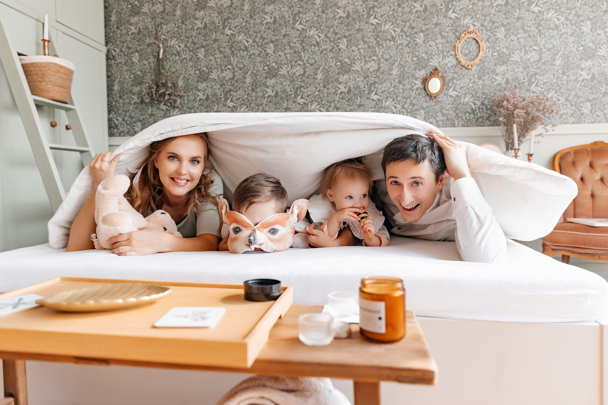 Домашняя история