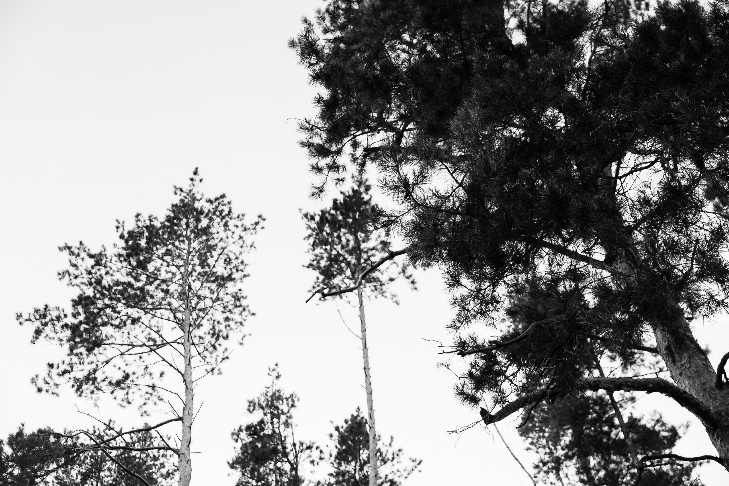 АЙЗАТ+ДИАНА. Фотограф Элла Ефимова