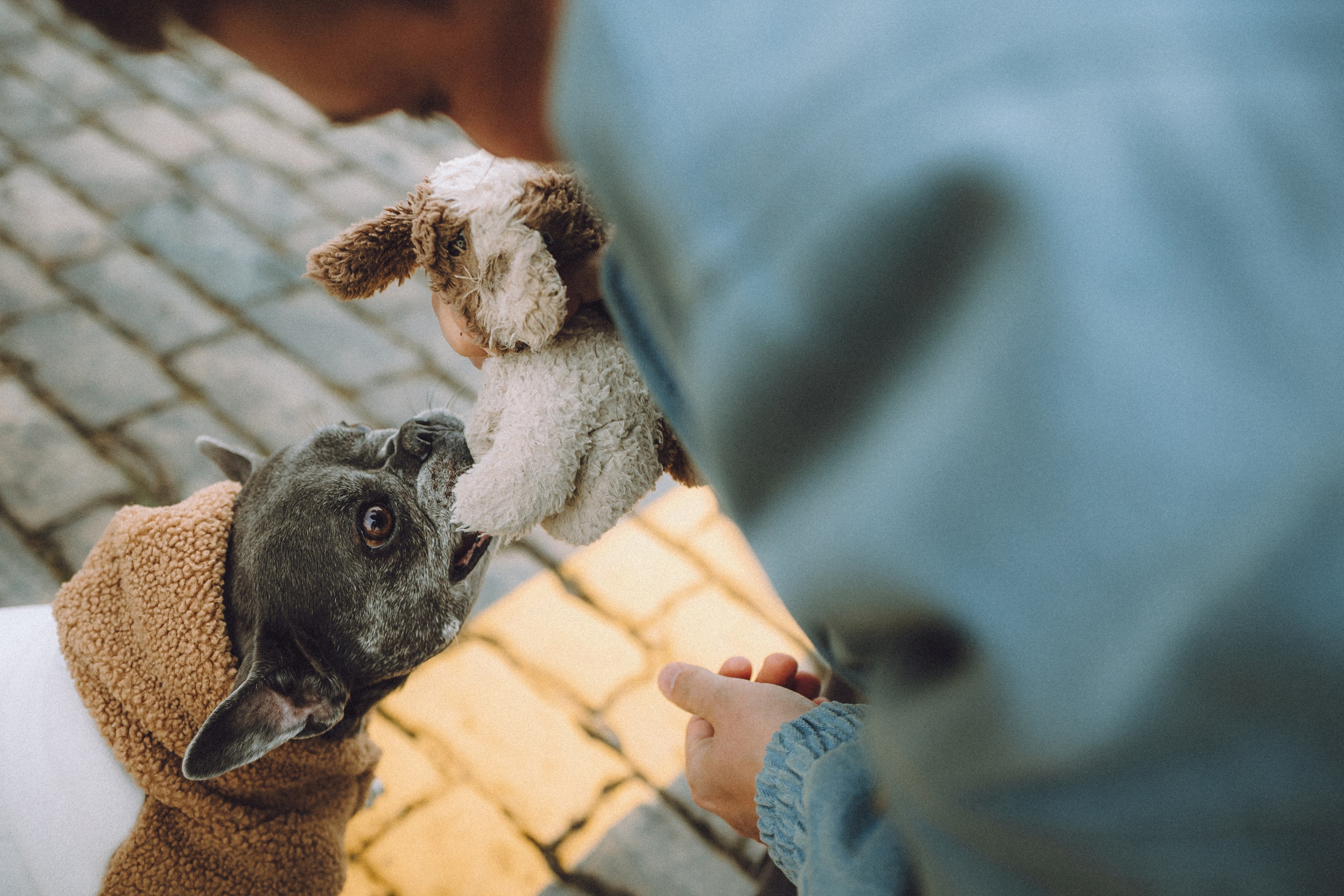 Юля, Вова и Моня