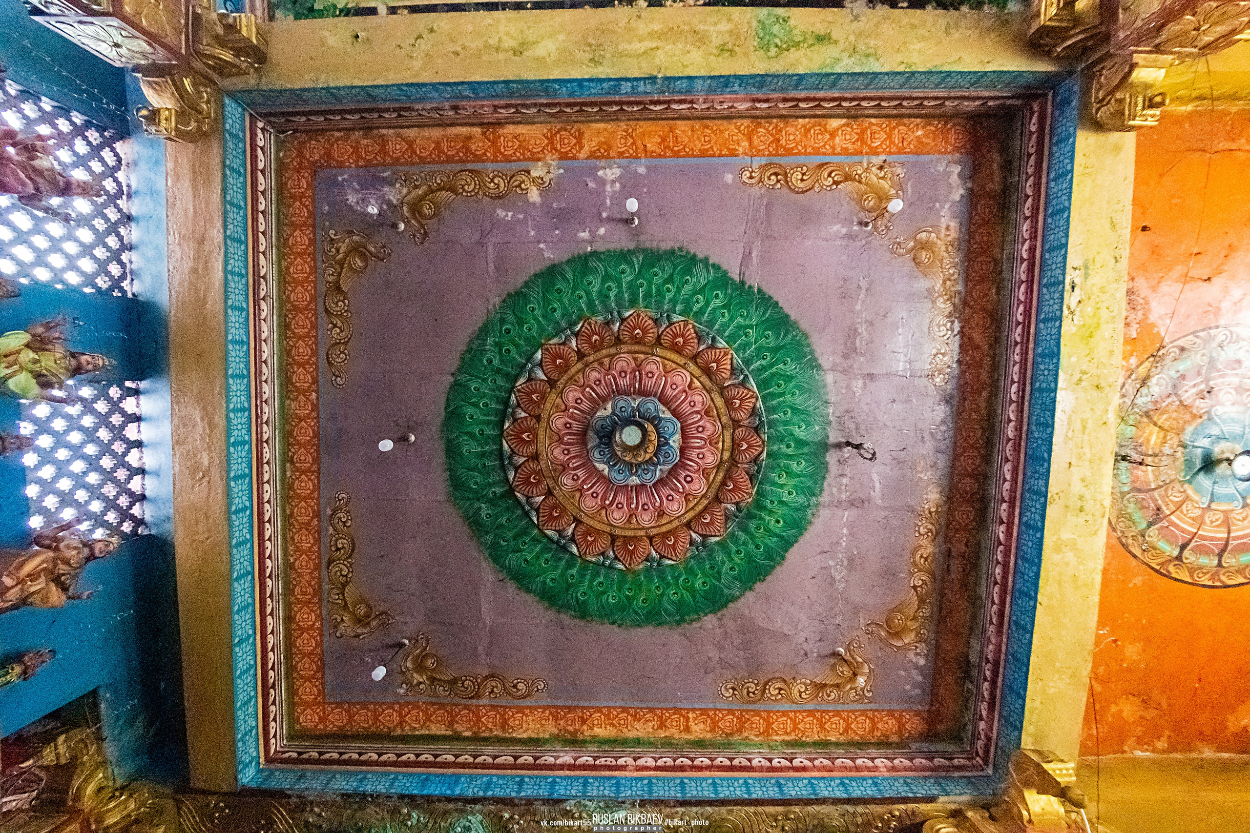 ШРИ-ЛАНКА 2025 / SRI LANKA 2025. Главная