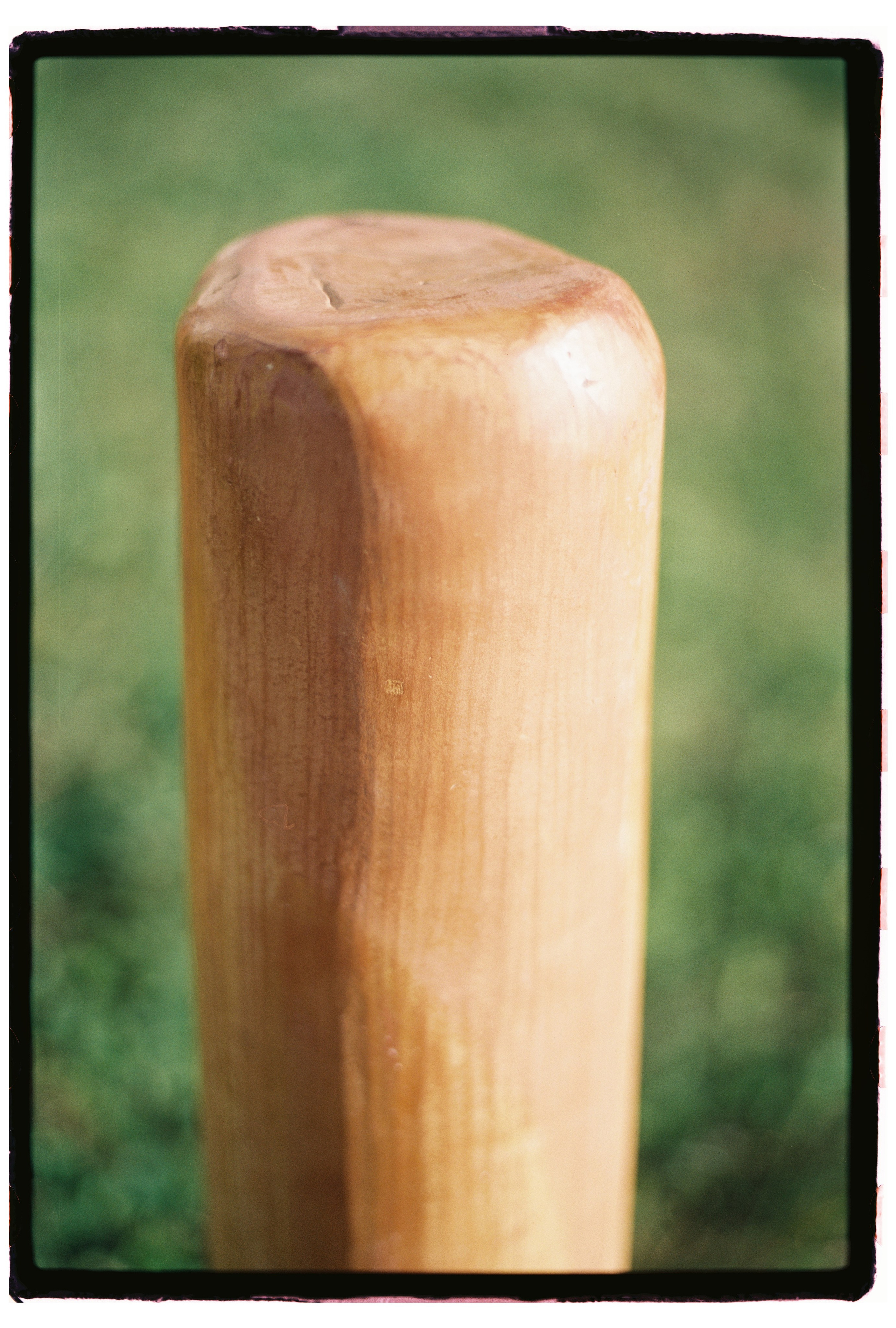Пленка для журнала. Профессиональный Фотограф во Владимире, в Москве и в Суздале — Полина Романычева