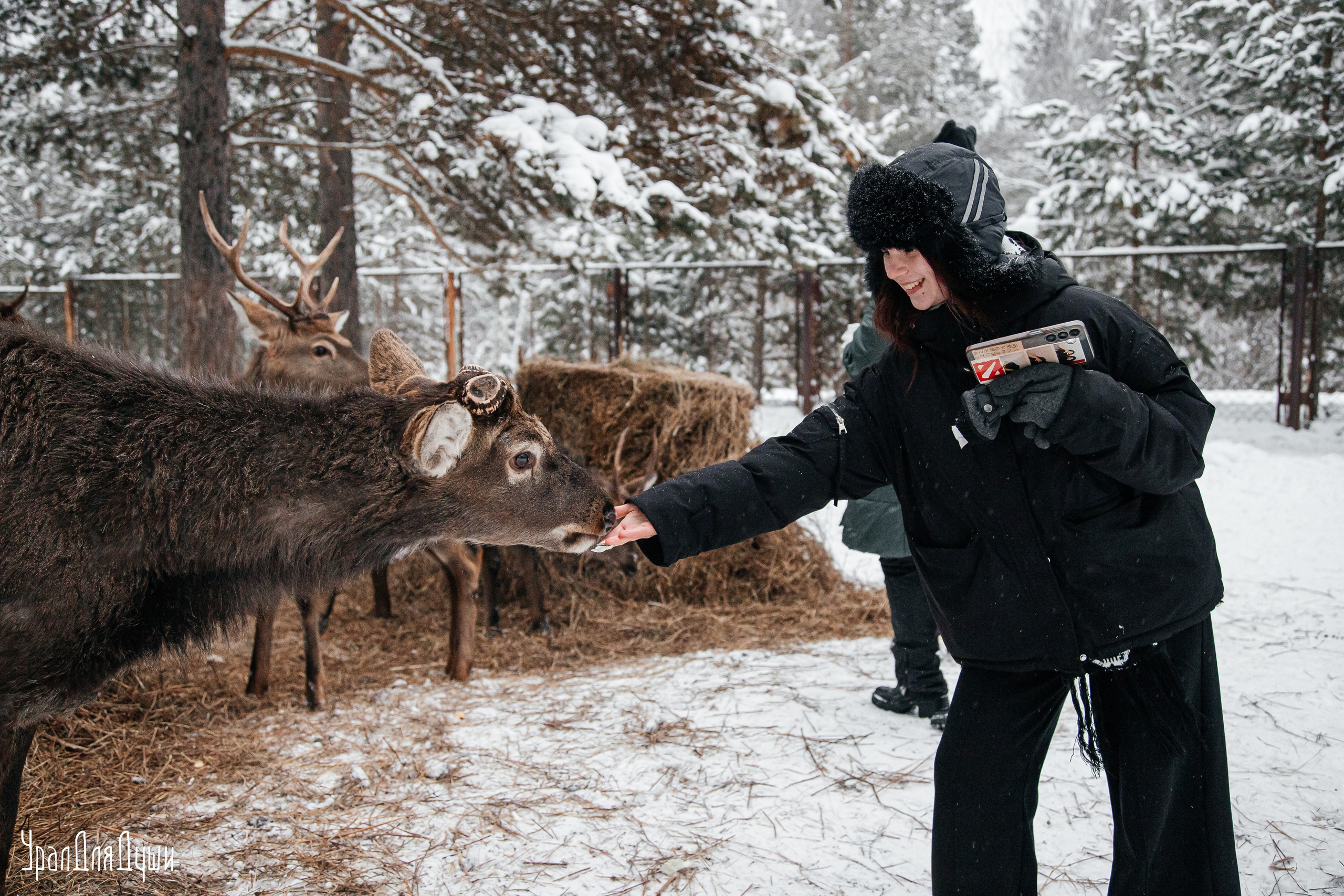 В гостях у Бемби и голубоглазых хаски. Репортажный фотограф с душой путешественника