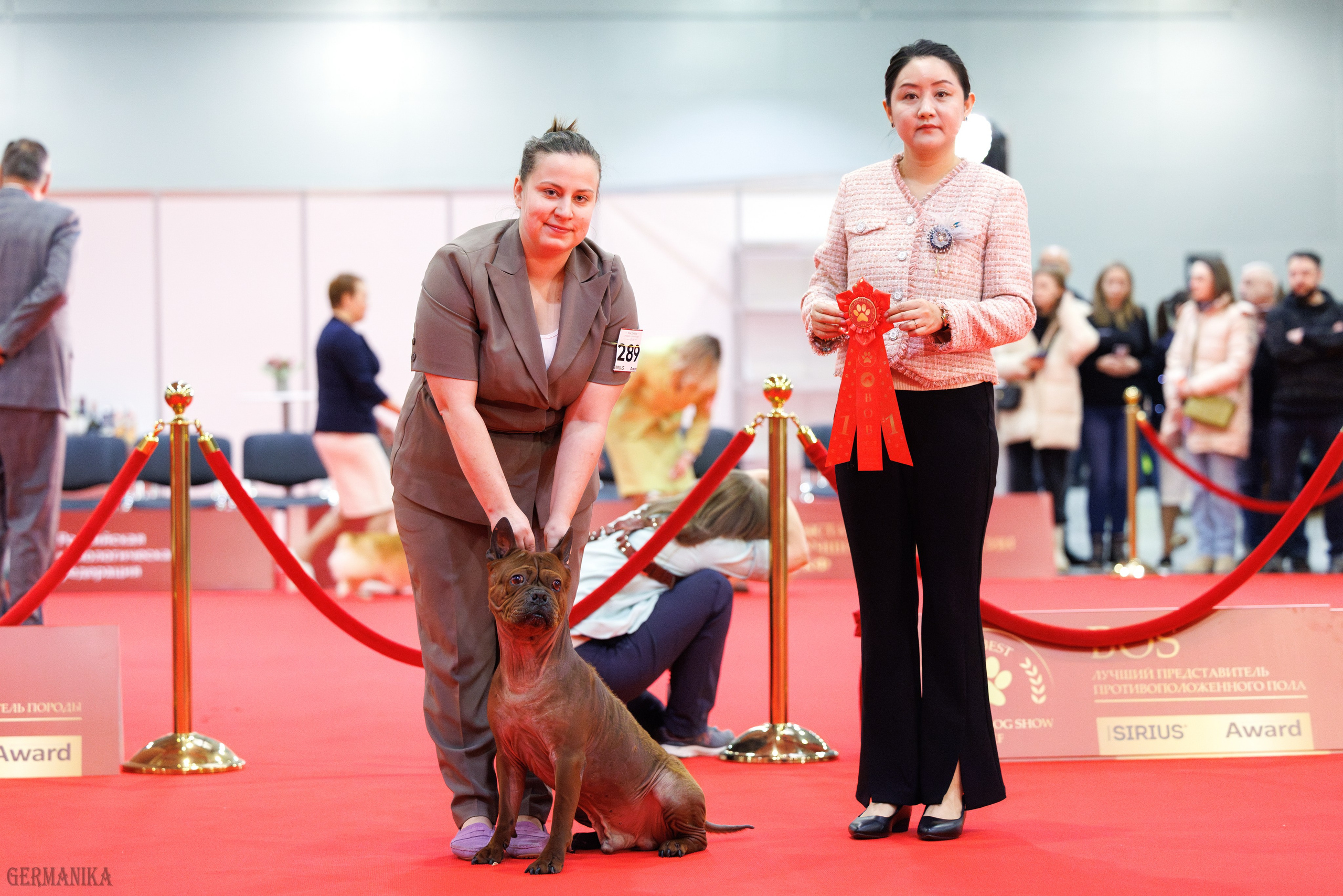 Лучшие Собаки России 17-18.02.2024. Фотограф-анималист Юлия Германика