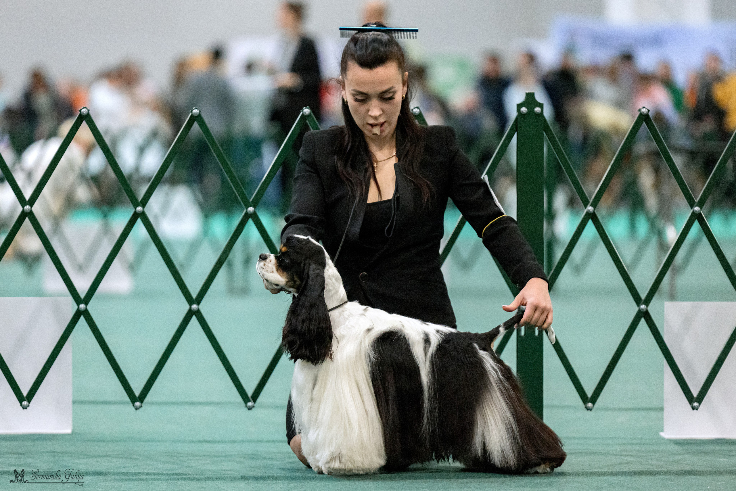 Сфера 29.10,Крокус 4.11,Сфера 12.11.2023. Фотограф-анималист Юлия Германика