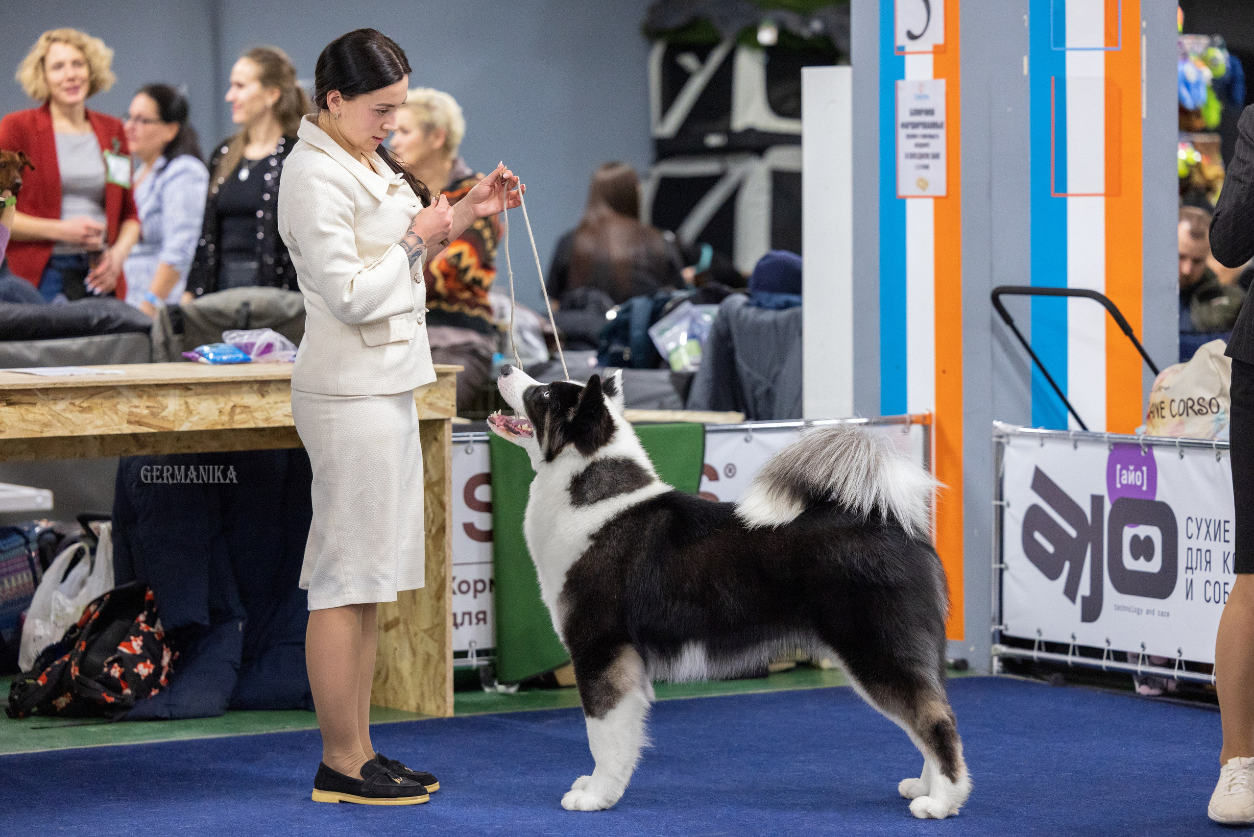 Крокус 10.02,Сфера 11.02.2024. Фотограф-анималист Юлия Германика