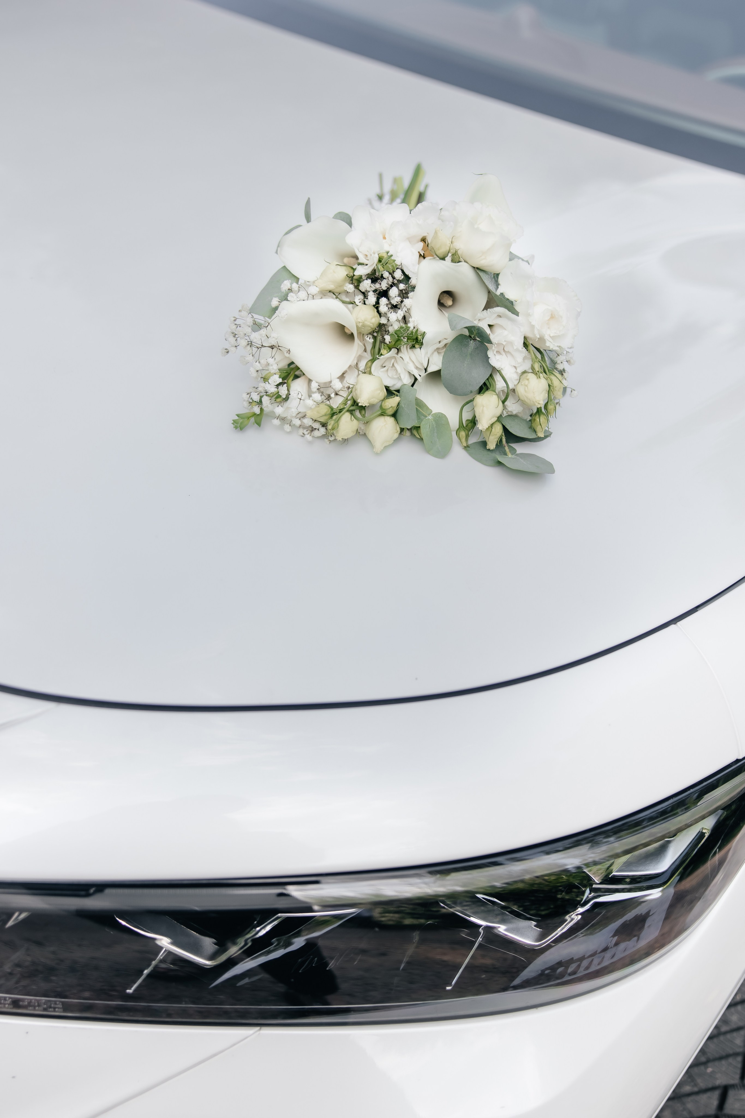 Астория + усадьба Белладжио. Фотограф ВИКА МЕДУЗА