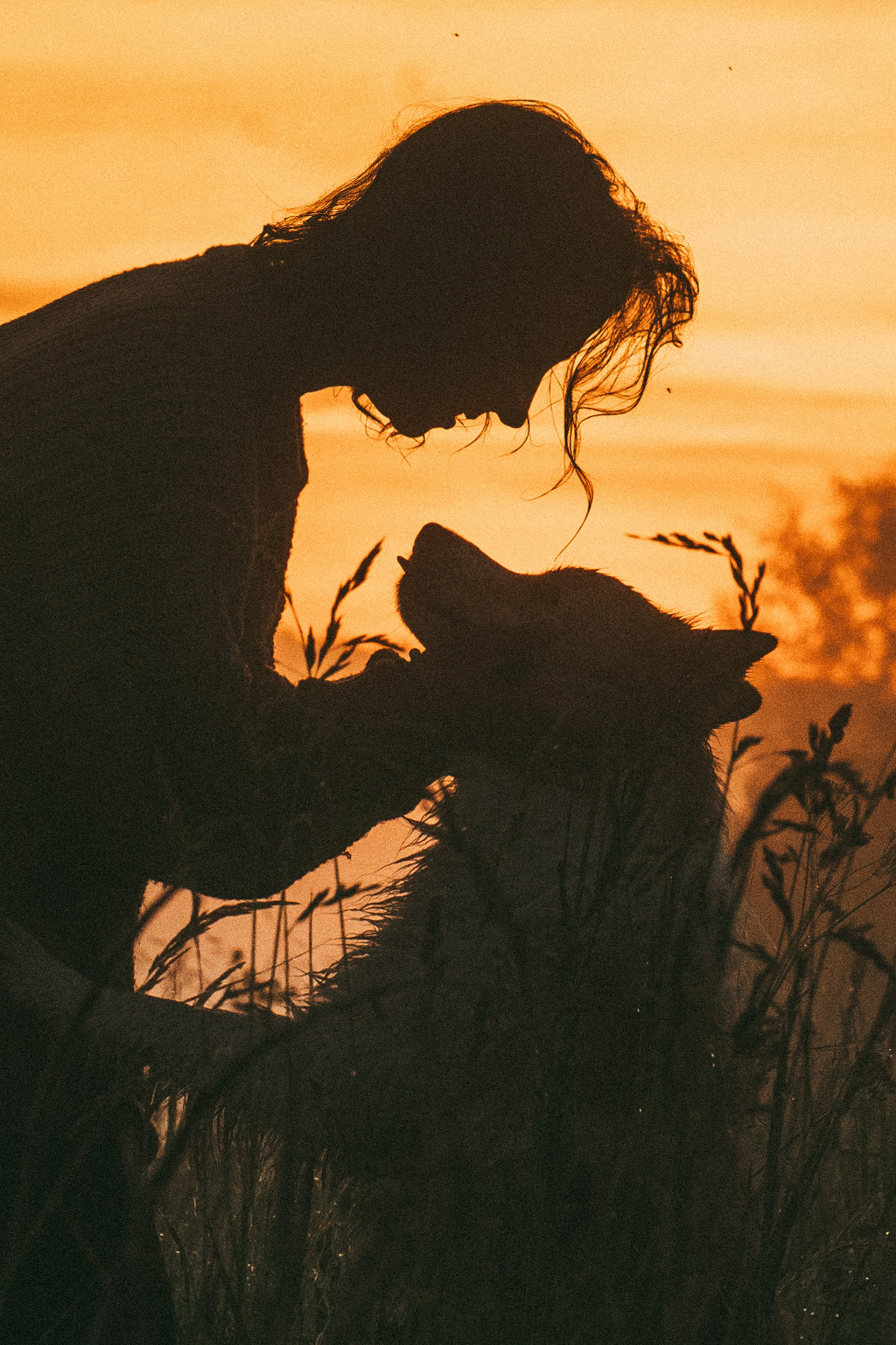 Рина и Марси. Фотограф анималист в Москве и Санкт-Петербурге Свиридова Анна