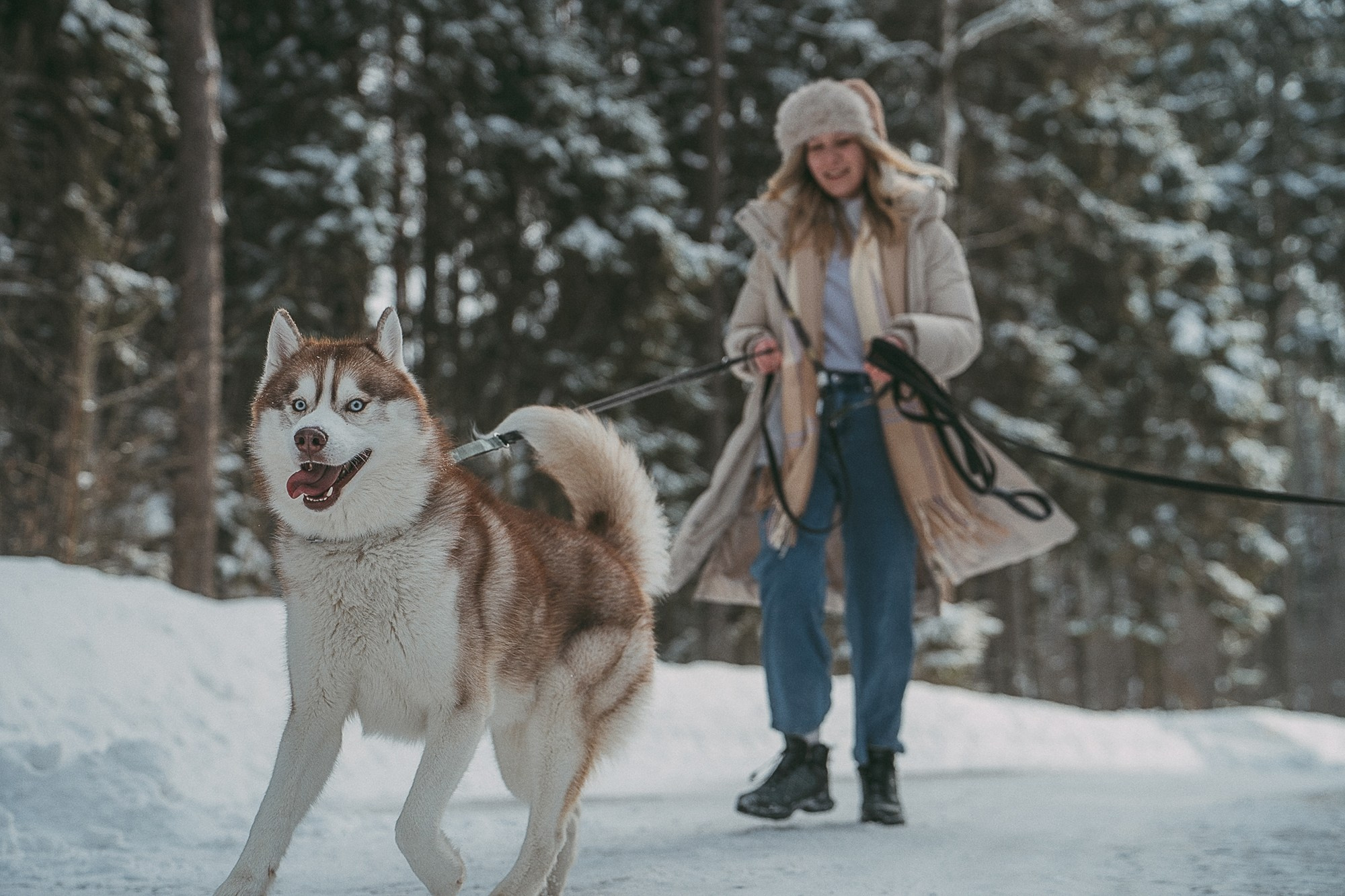 Полина, Уго и Пышка. Фотограф анималист в Москве и Санкт-Петербурге Свиридова Анна