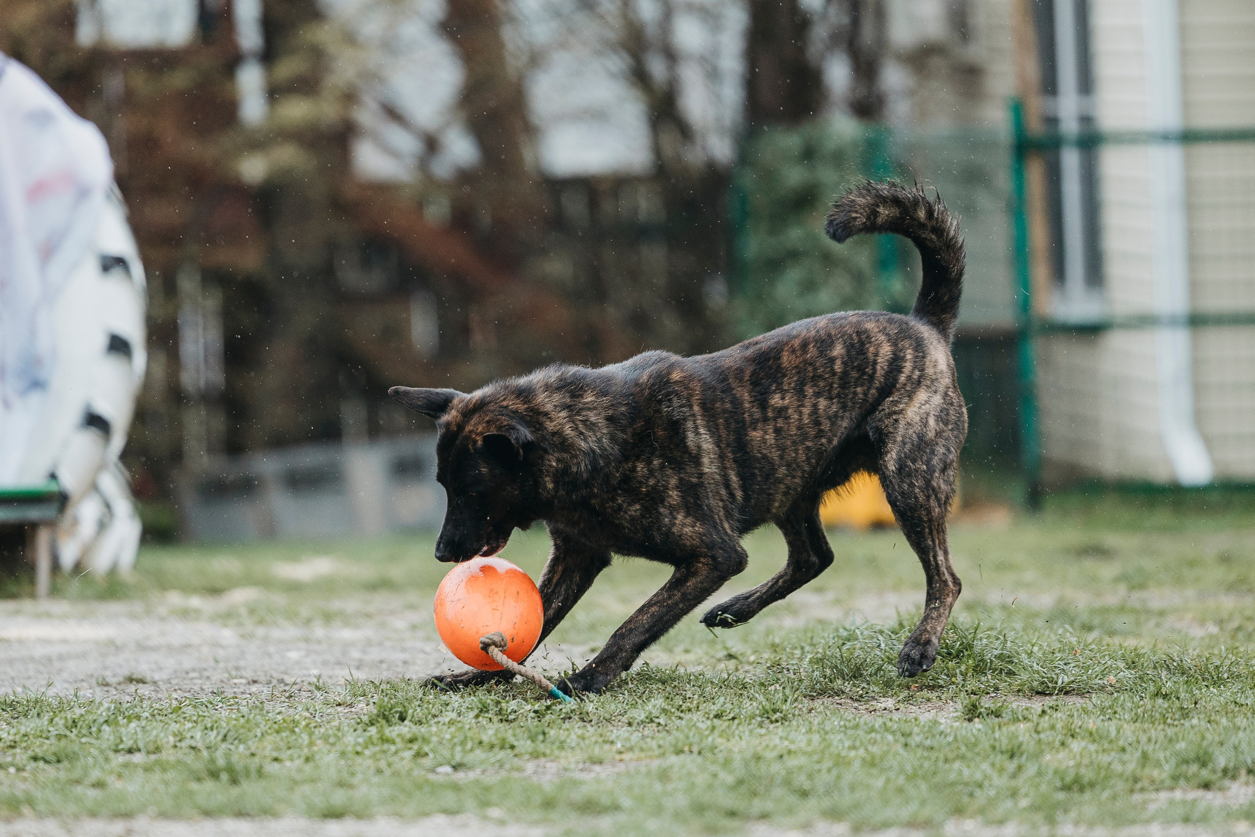 Геленджик Мондьоринг. Фотограф-анималист Анна Маринич