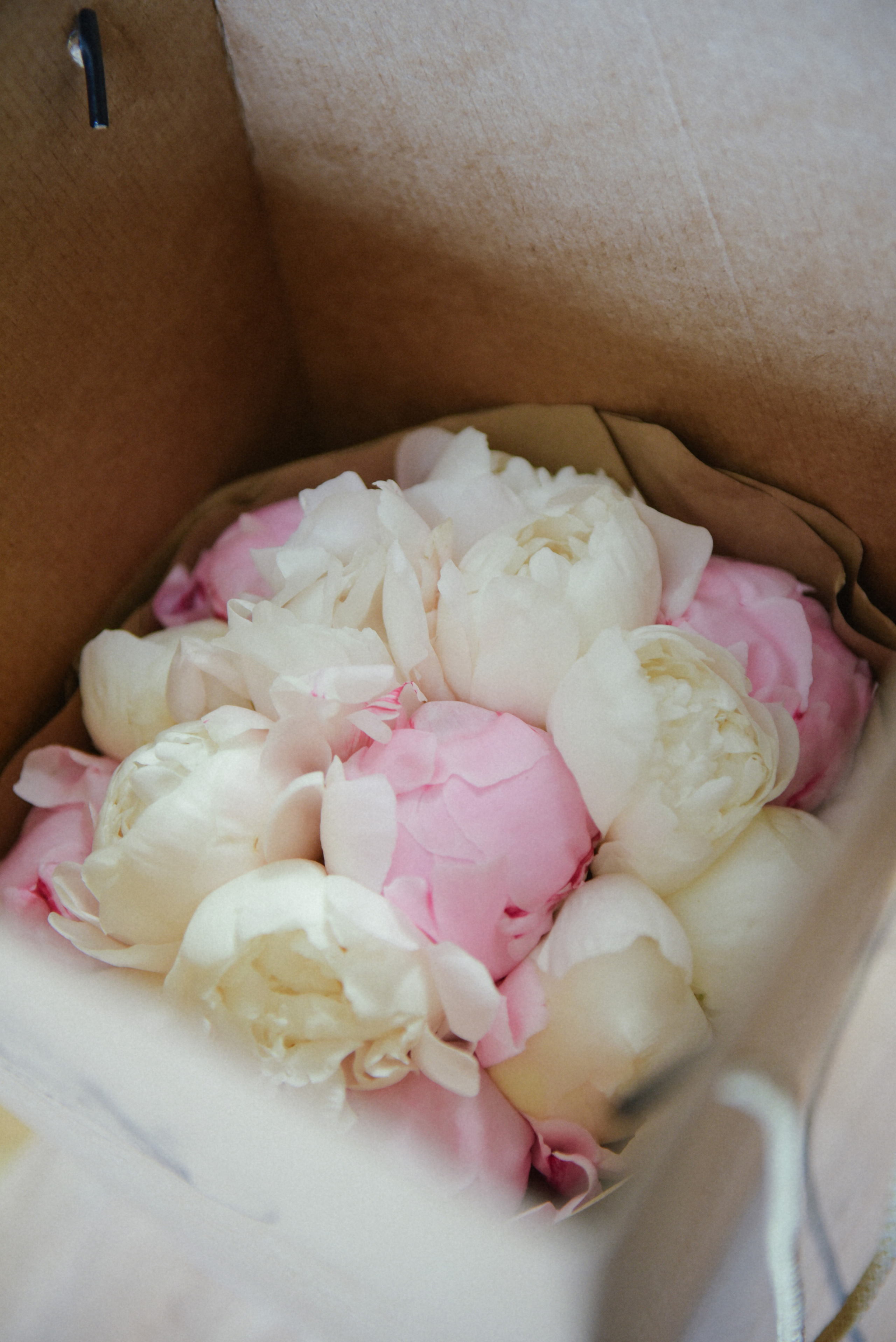 Иван и Надежда Свадебный День Ротонда Дома Клюевых. Фотограф Лола Волна, город Москва