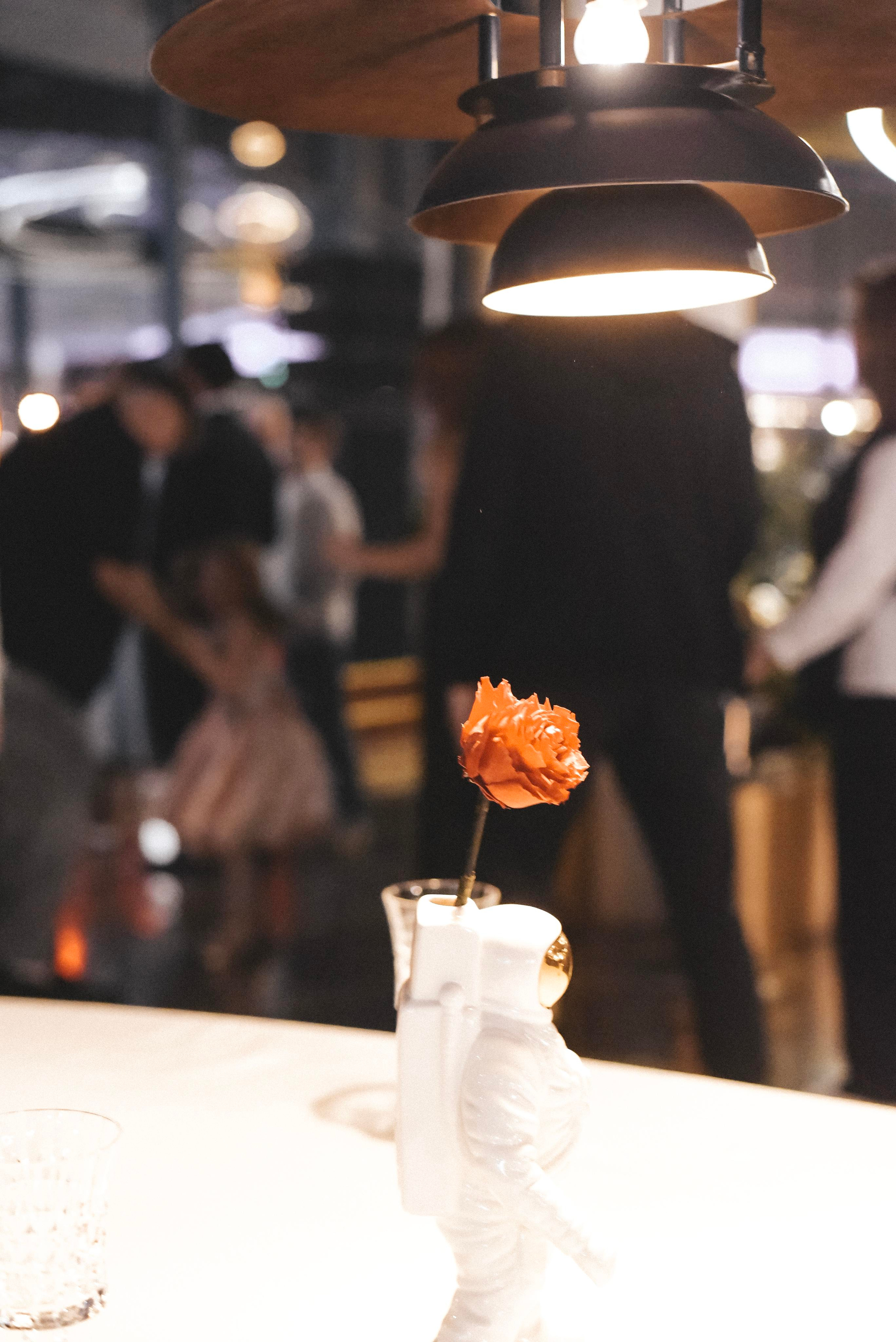 День Рождения Дарьи Восход Зарядье. Фотограф Лола Волна, город Москва