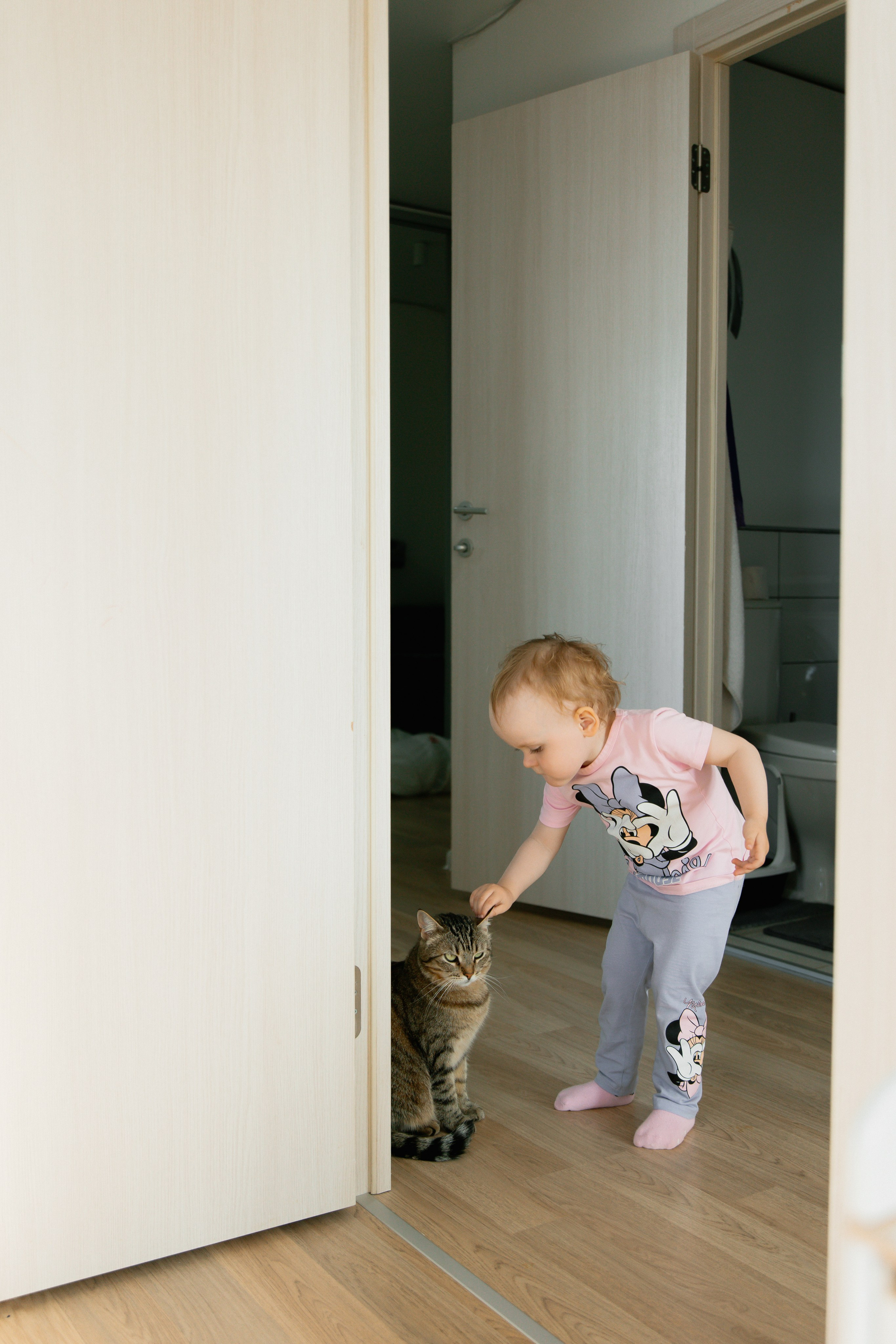 Polja. Главная