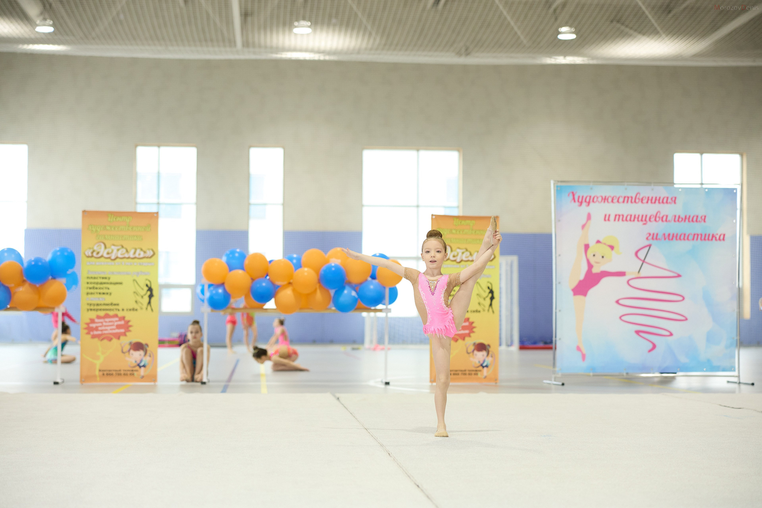 Художественная гимнастика