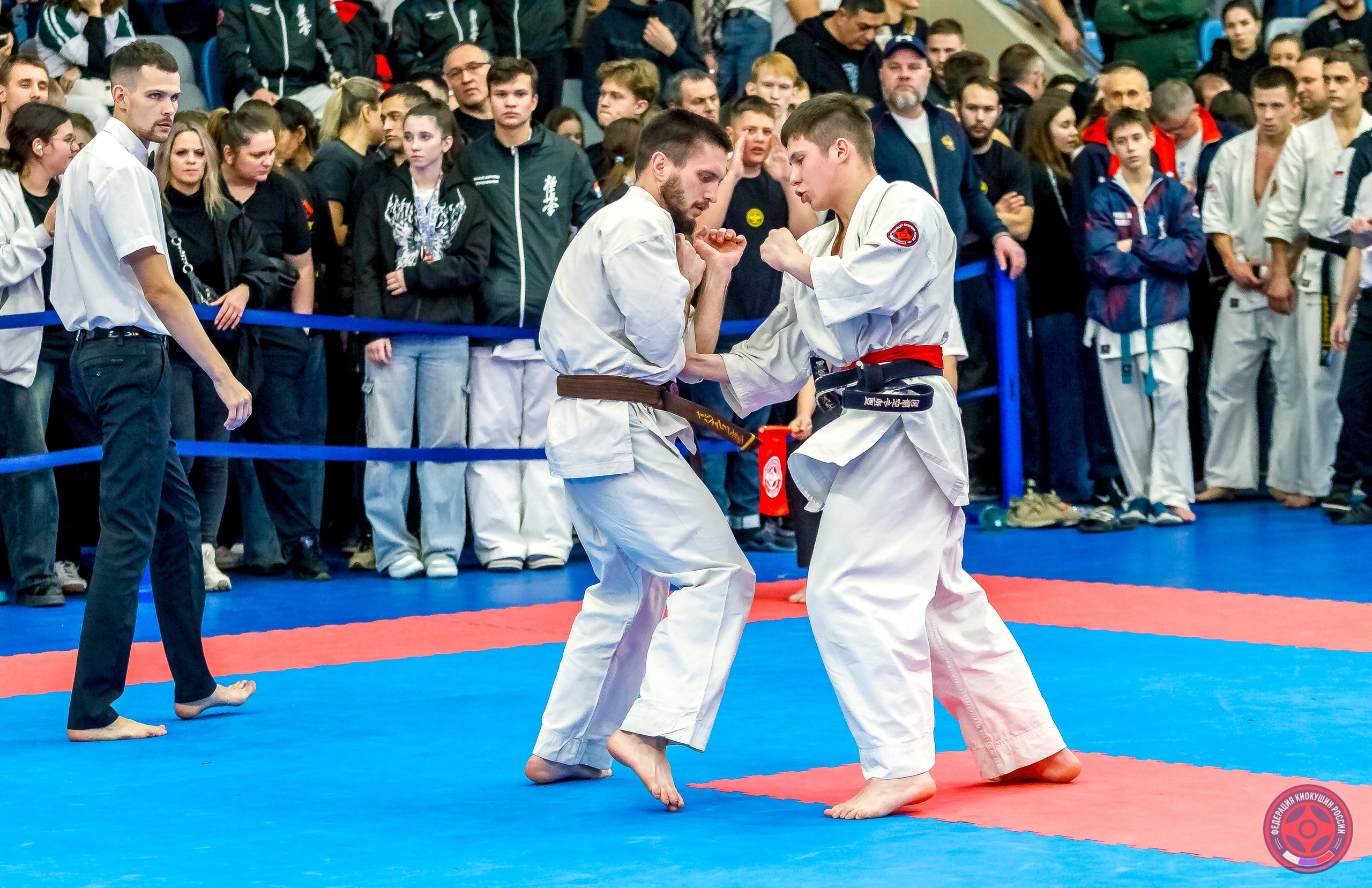 Международный турнир по киокушин «Открытый кубок Seiken». Репортажная съемка в Москве и области. Анималистика