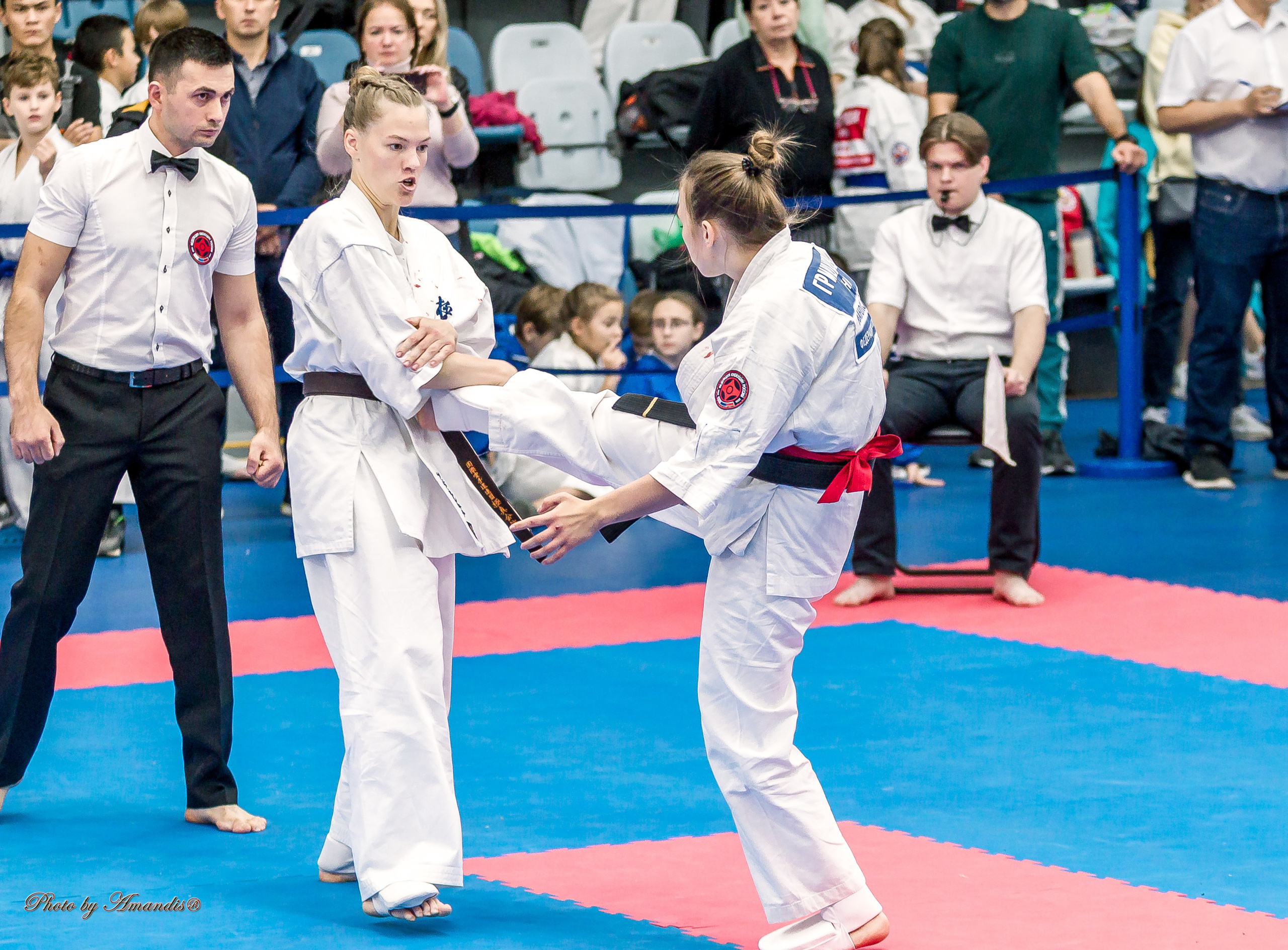 Чемпионат по Киокушинкай Центрального Федерального округа. Репортажная съемка в Москве и области. Анималистика