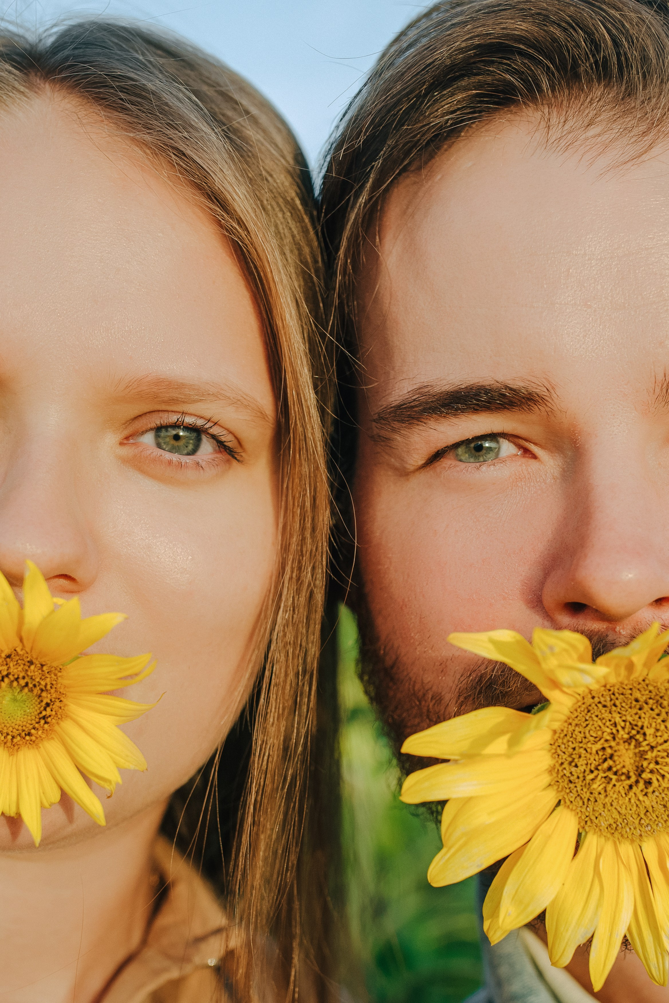 ПОДСОЛНУХИ. Шашкова Вероника / Свадебный и семейный фотограф Москва и Ярославль