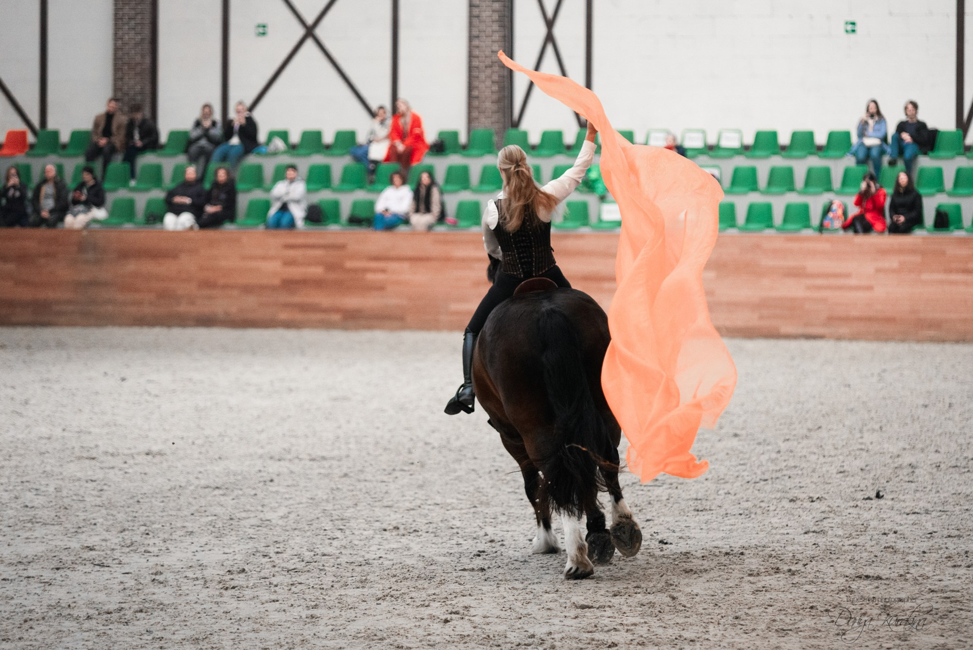 8-я международная выставка Конная Россия. Конный фотограф Куракина Дарья • Фотосессии с лошадьми
