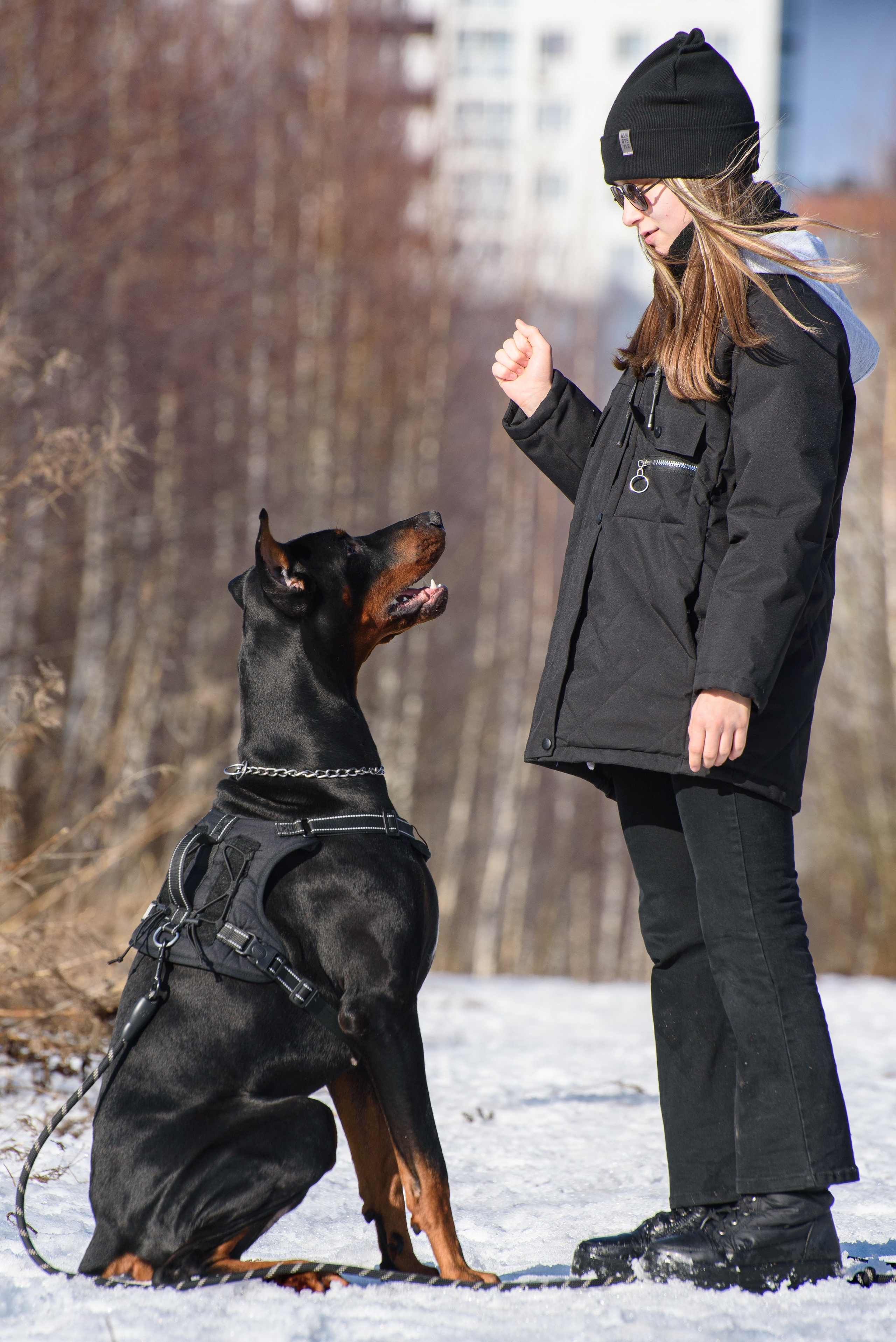 Фотосессию с любимчиком — доберманом. Фотограф Макс Огурцов в Нижнем Новгороде