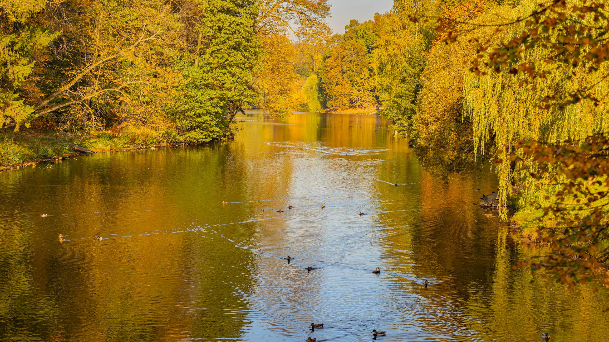 2023 09 Царицыно. Фотографии