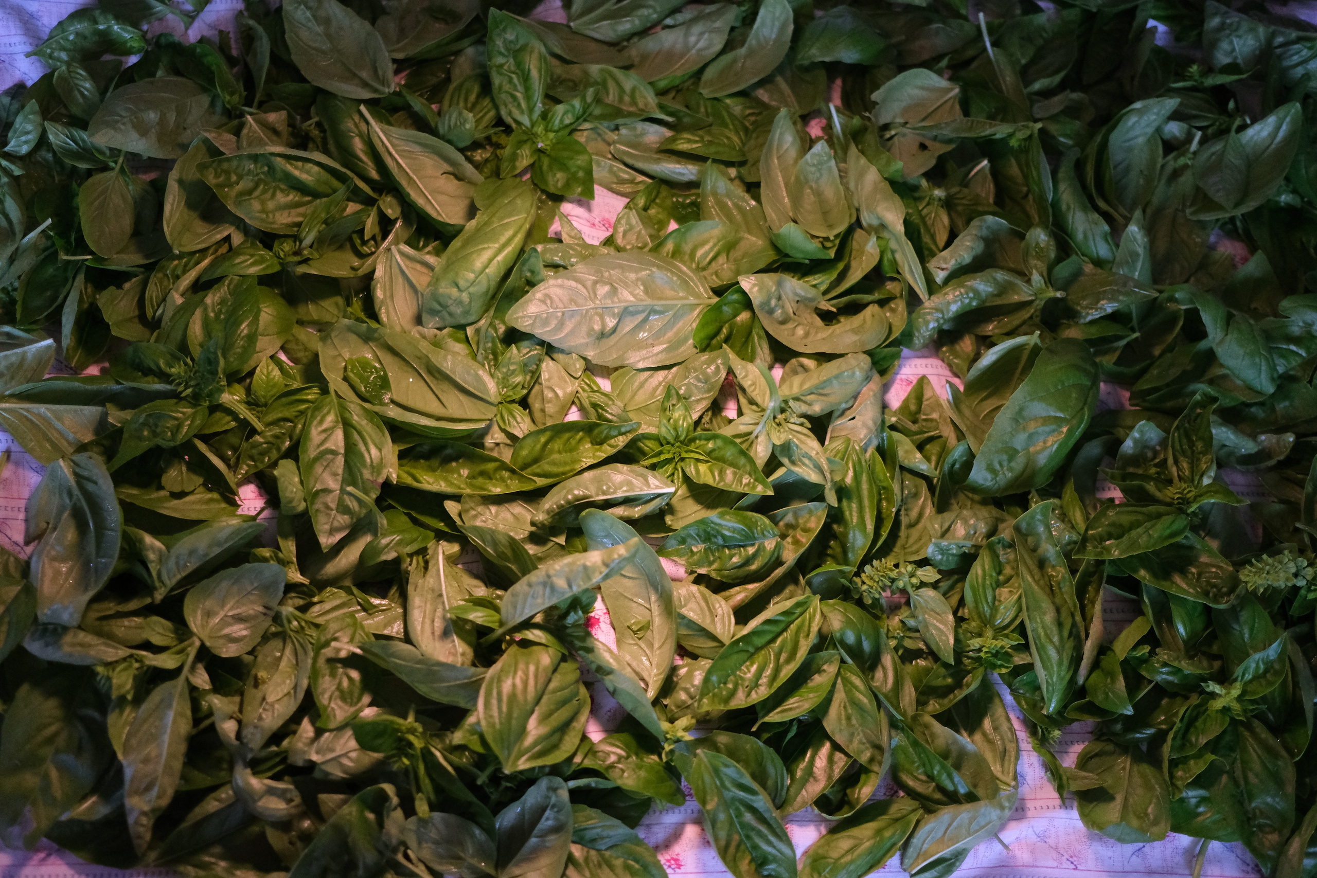 Творчество. Семейный и портретный фотограф в Минске Константин Менжинский