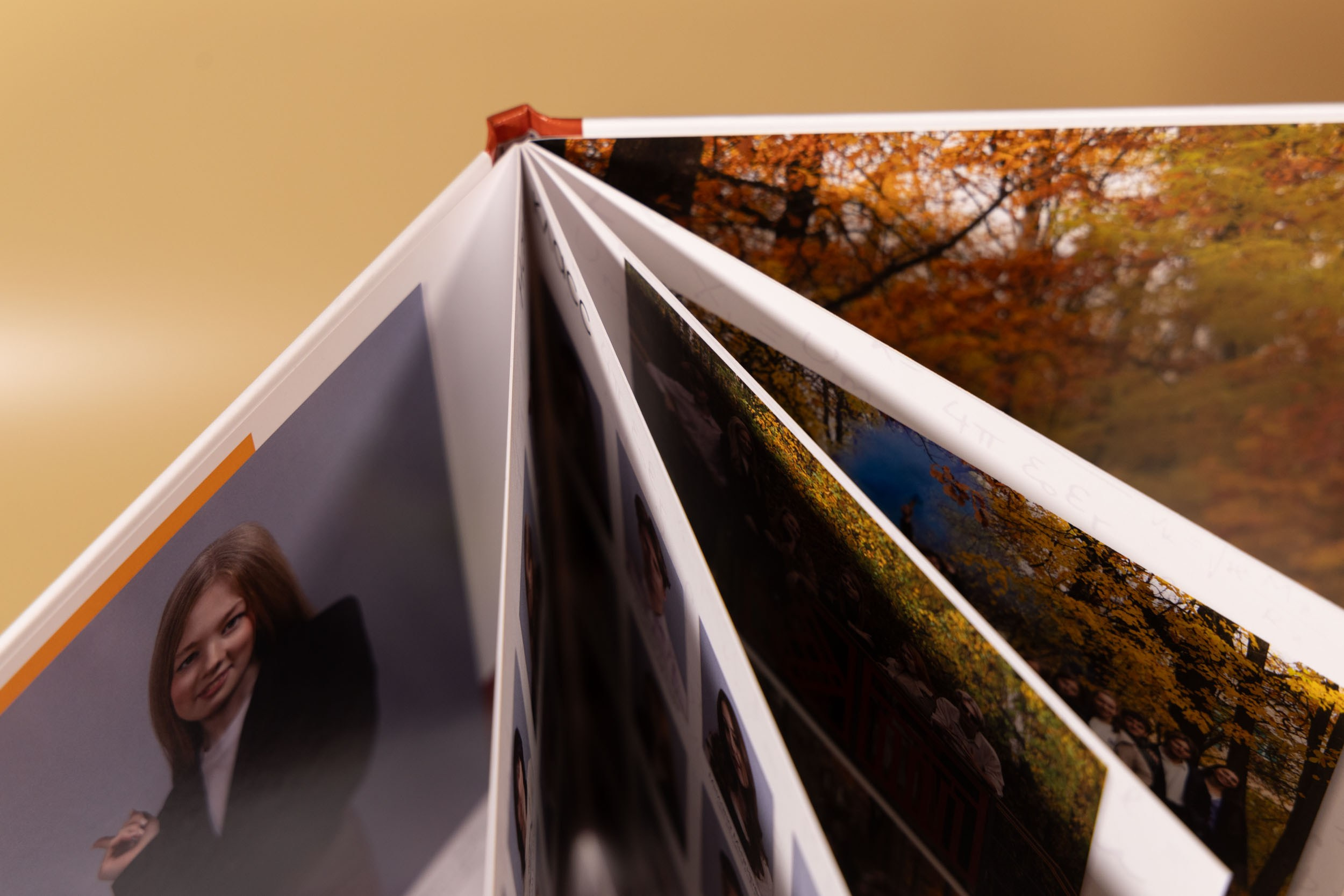 Выпускная папка для 11 класса в Вологде