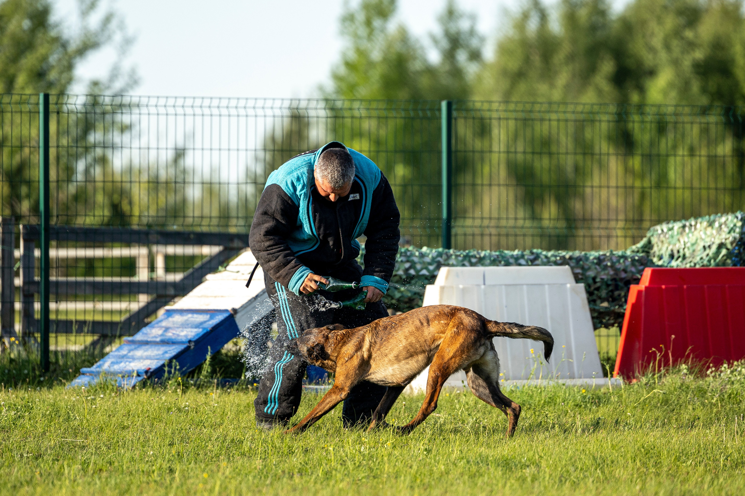 Испытания по мондьорингу в Нижнем Новгороде. Фотограф-анималист Анна Маринич