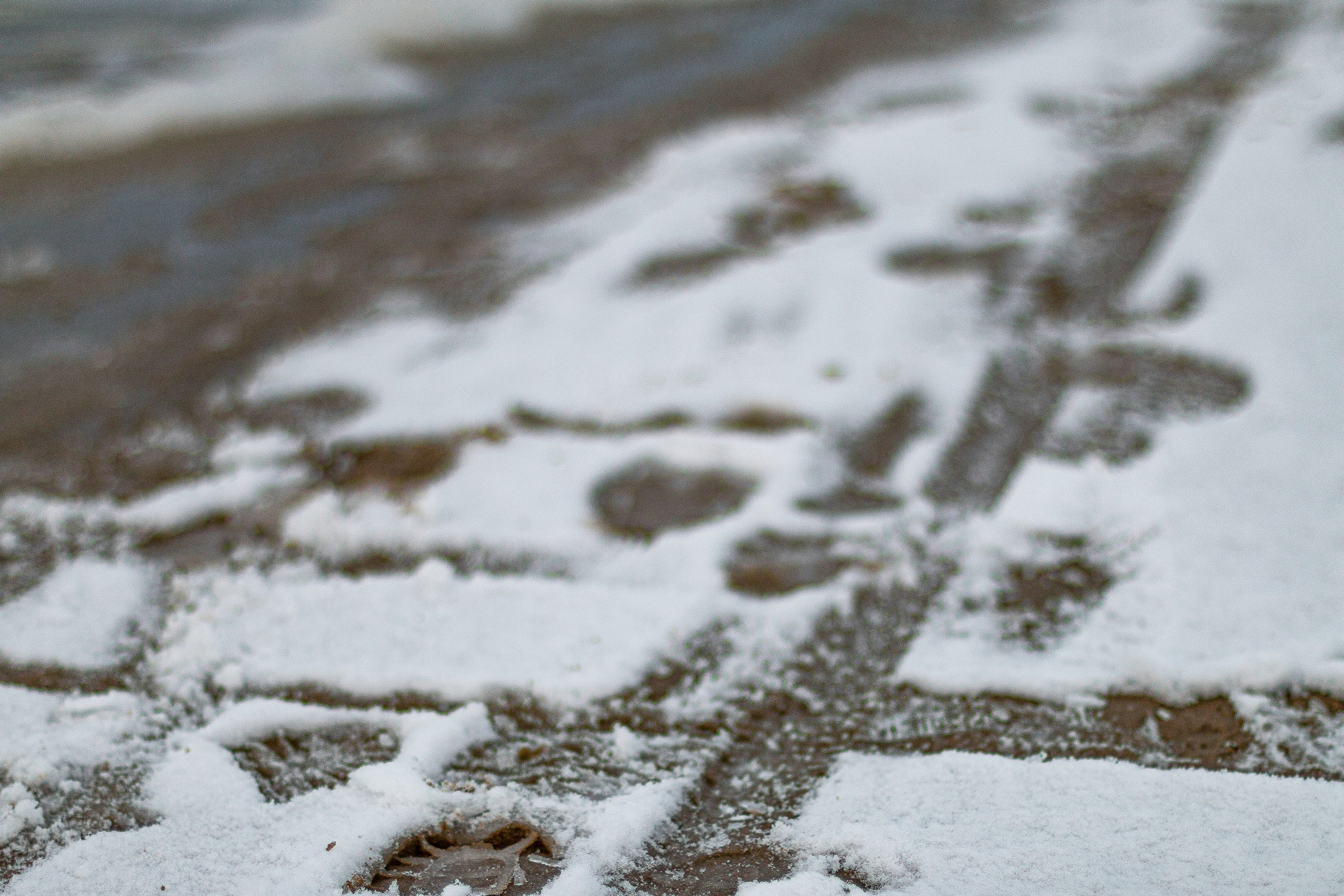 Русский север, Белое море, Архангельск. Фотограф в Сочи
