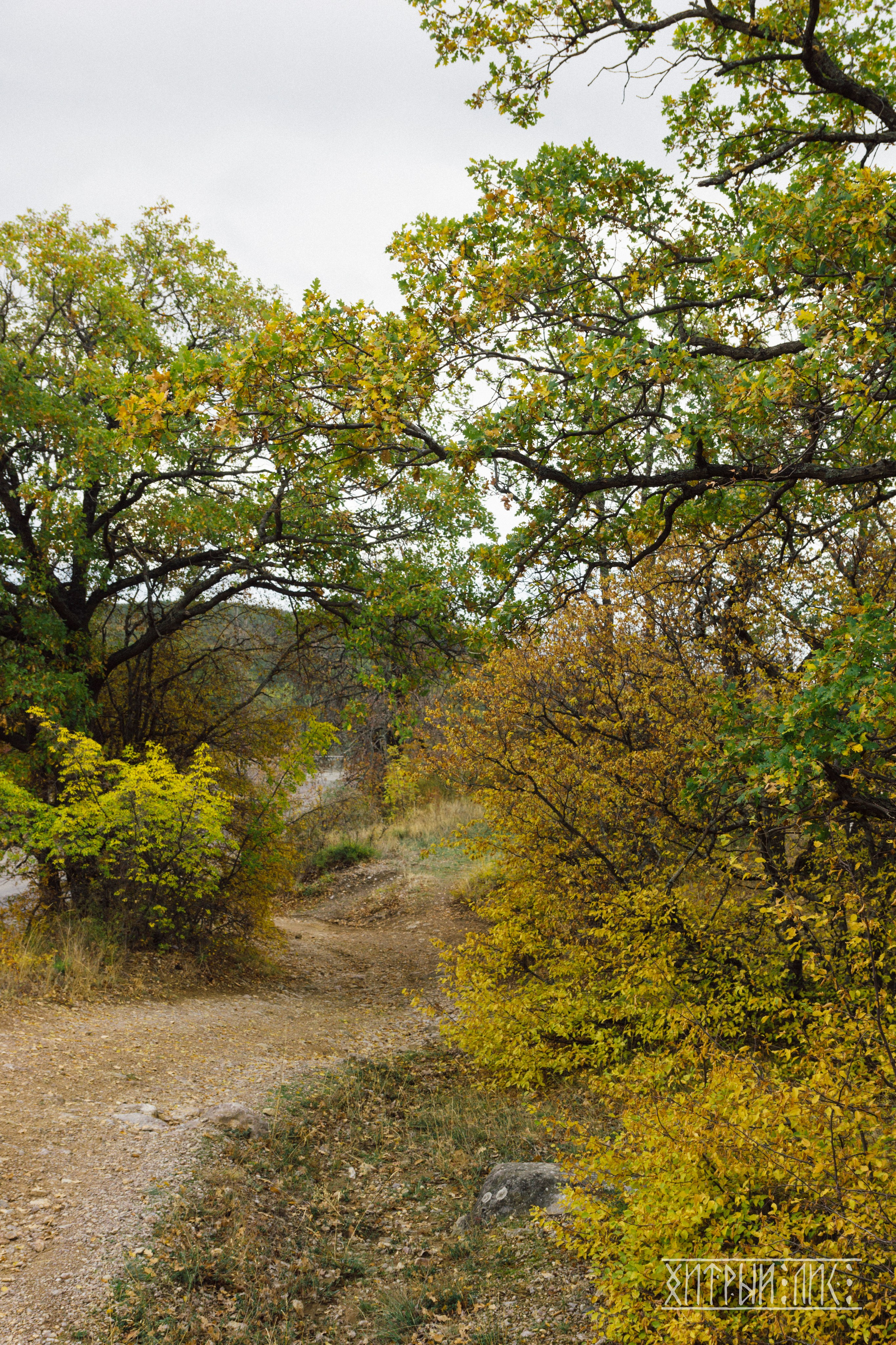 Крым. Фотограф-путешественник Самойлов Максим «Sly Fox»