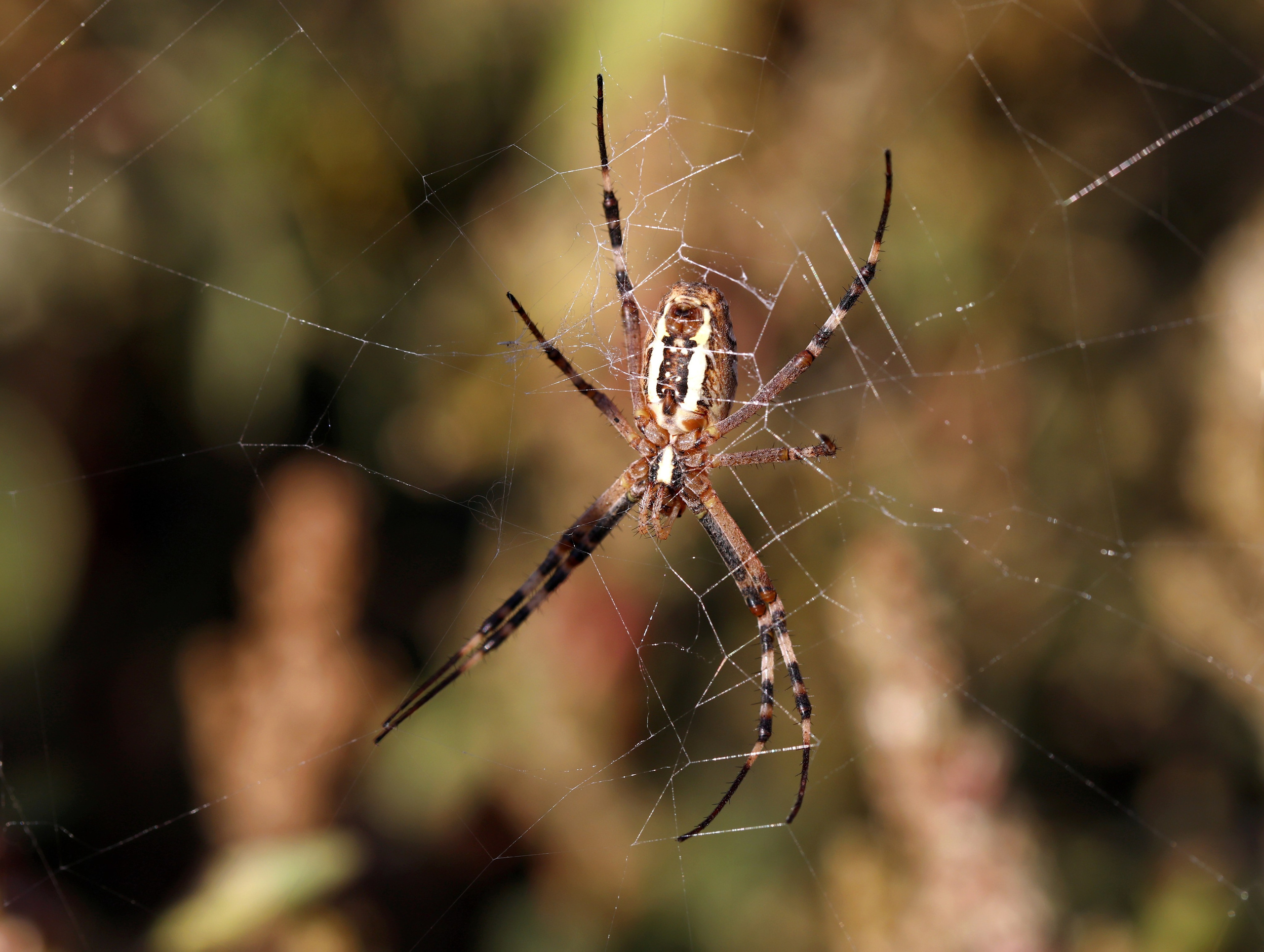 МАГАЗИН и его витрина. Фото-художник и Репортажный фотограф Николаев Александр Алексеевич